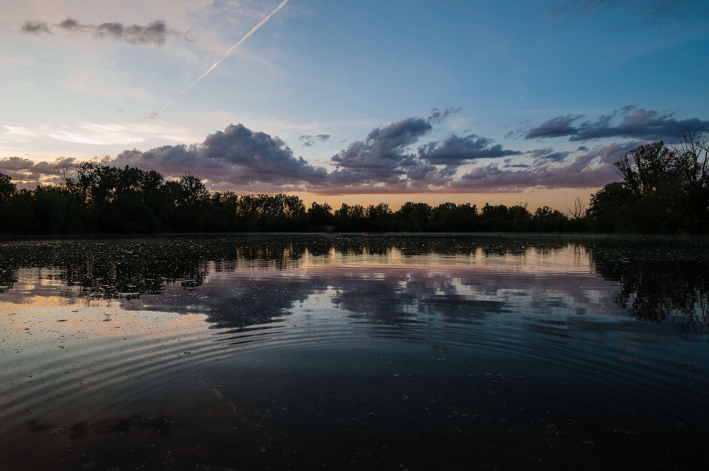Lungavilla Marsh Park 1