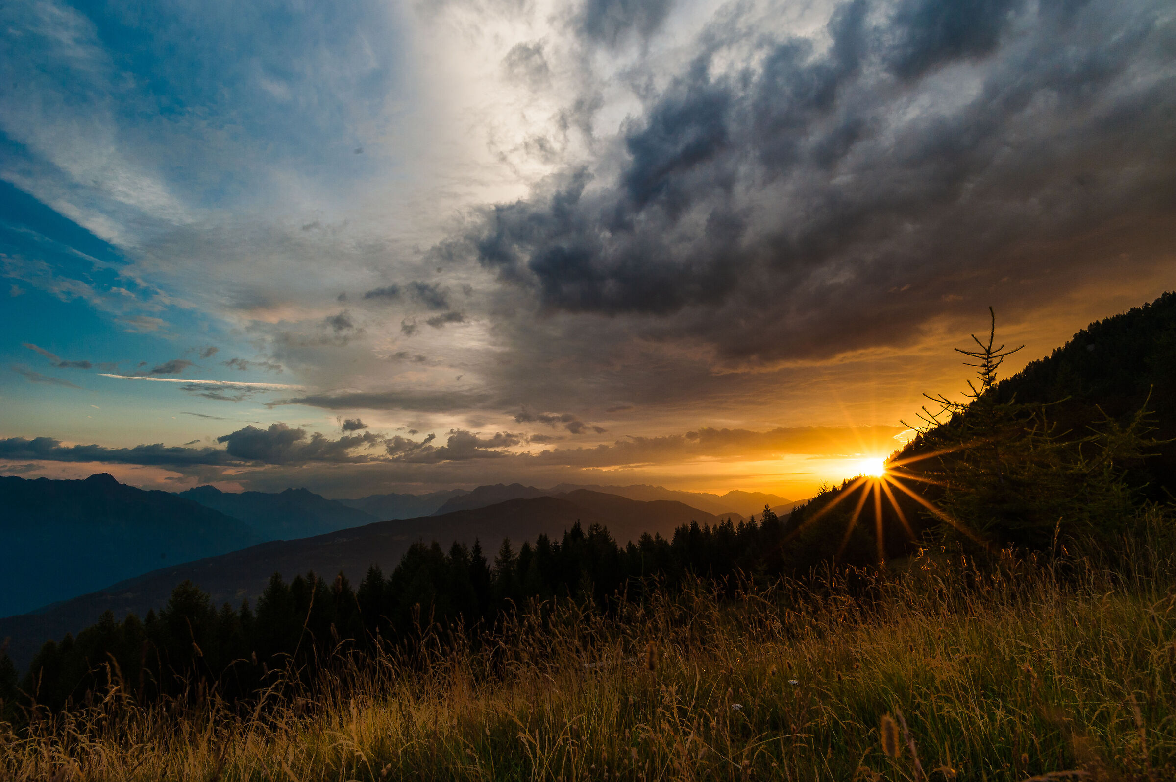 Magnolta,Aprica