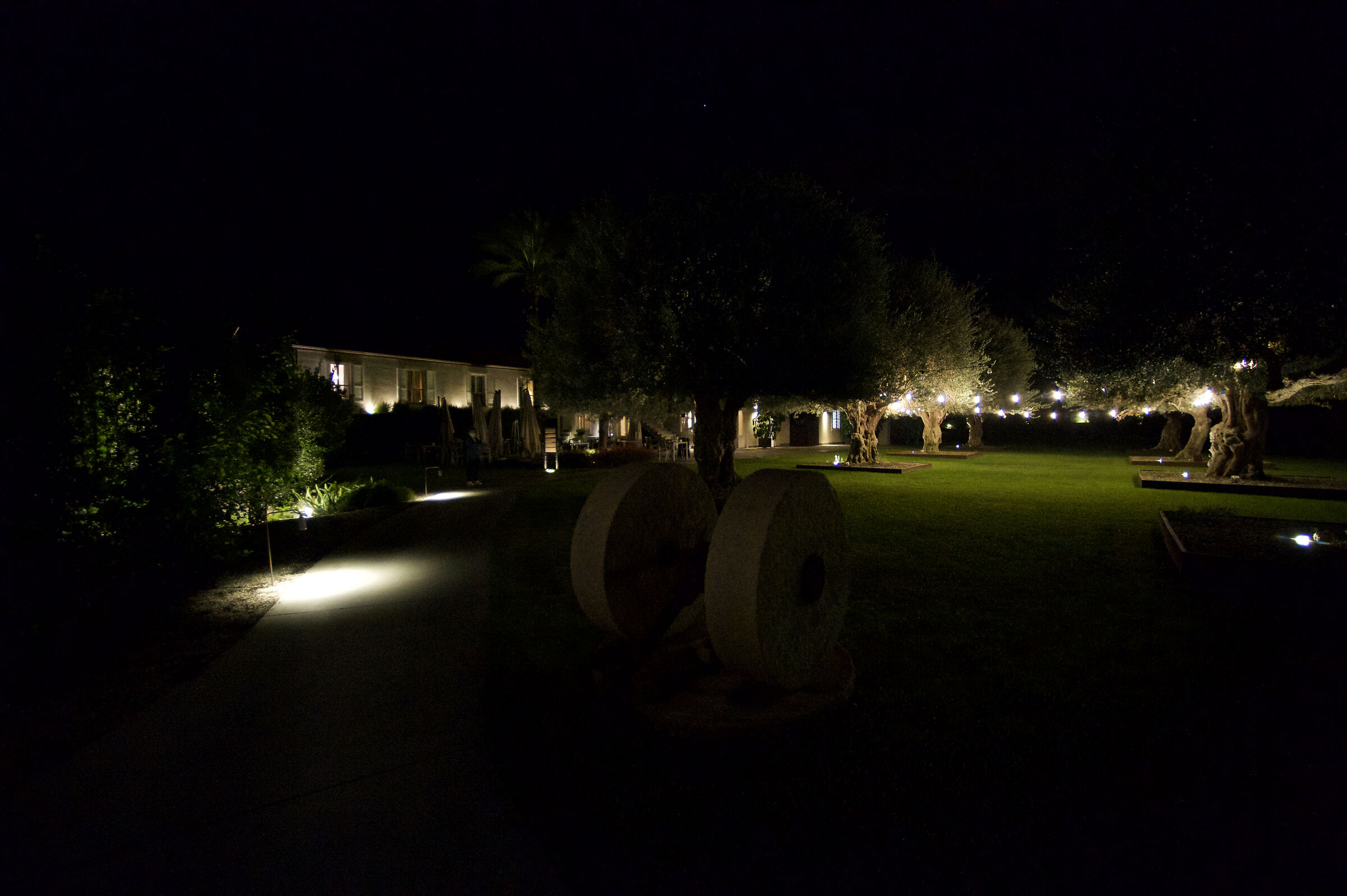 Riposto - olive garden