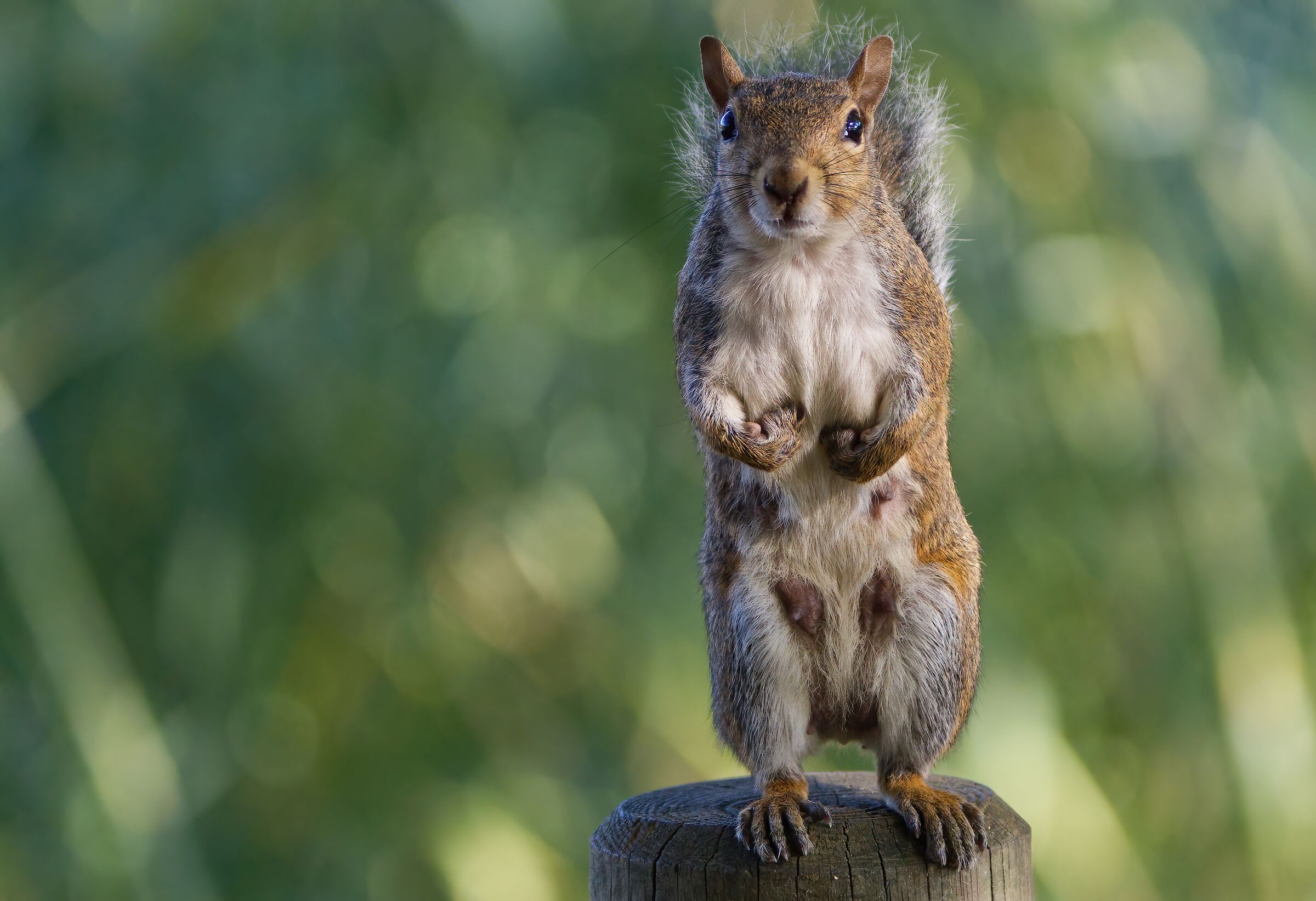 Do you see that I am a mother?