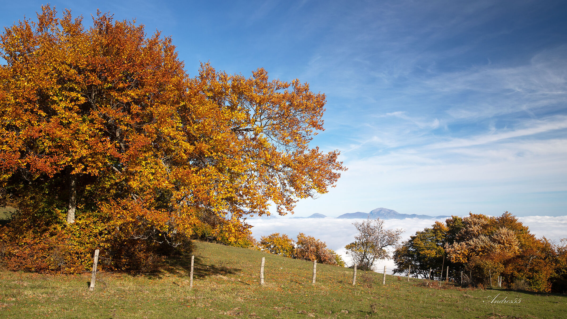 Sole e nebbia