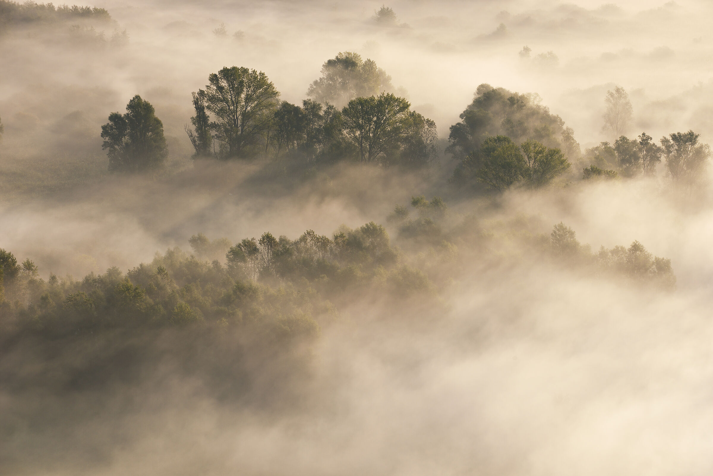 the magic of fog