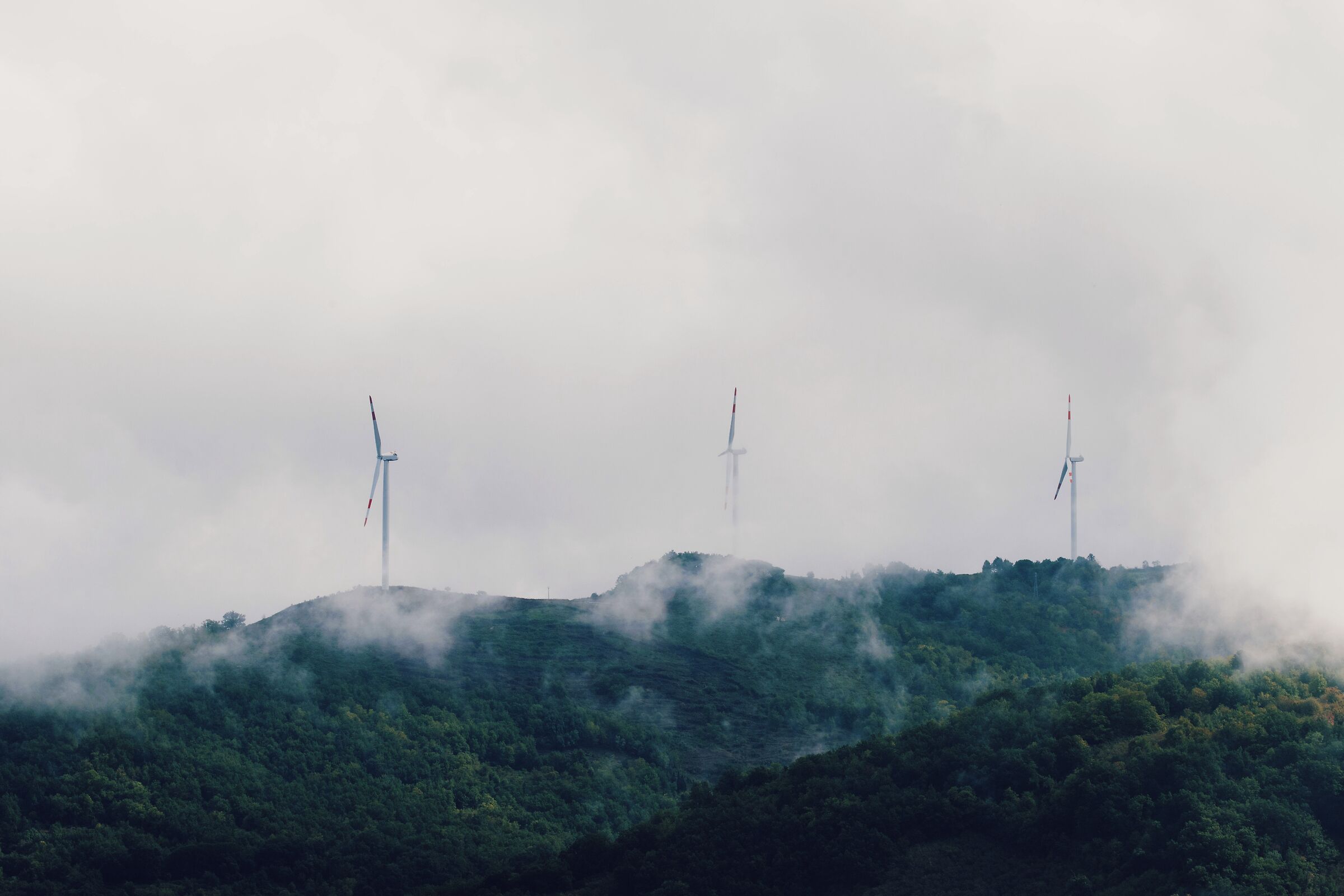 The blades of Sicily