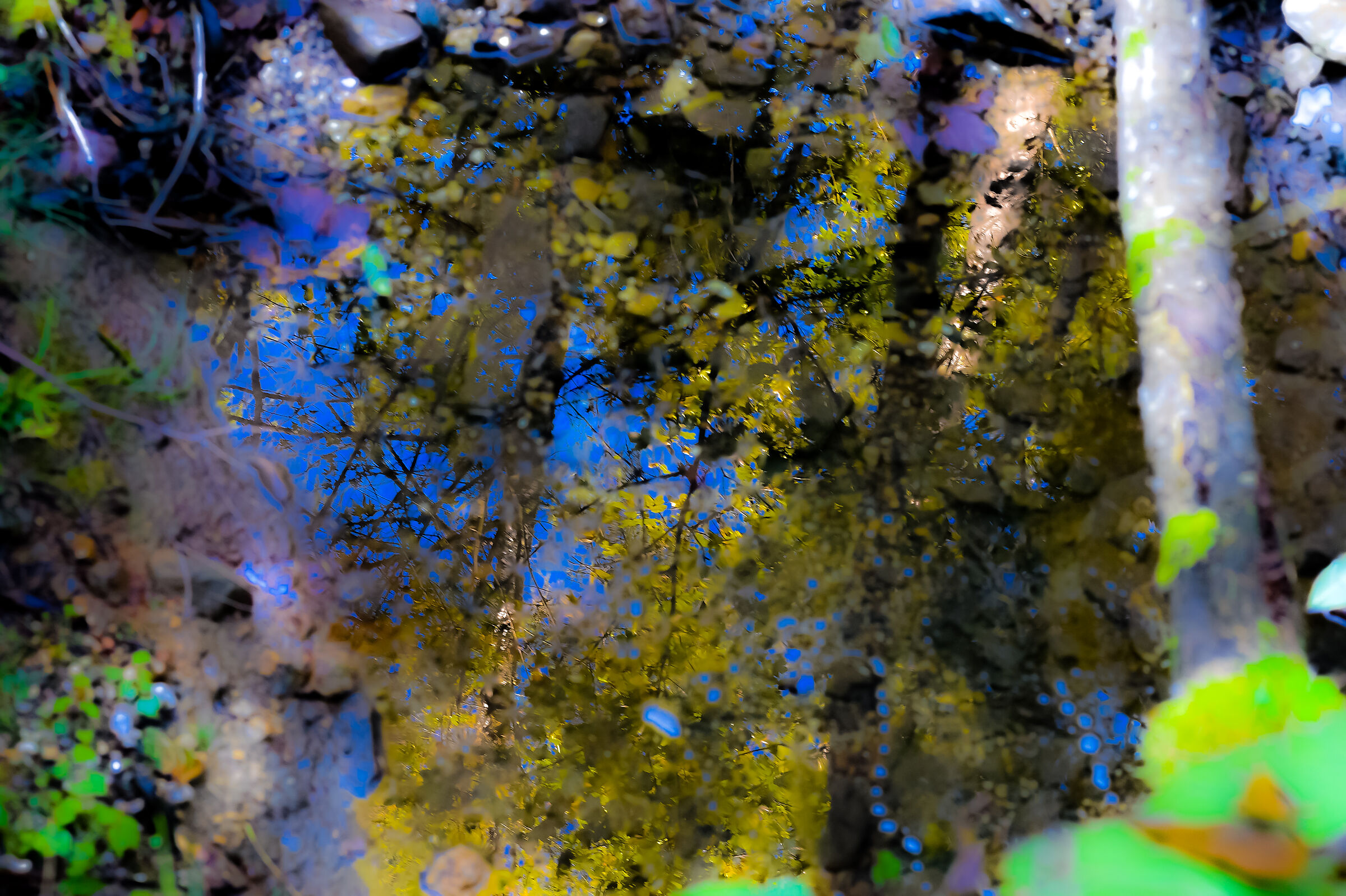 Another picture in the woods....