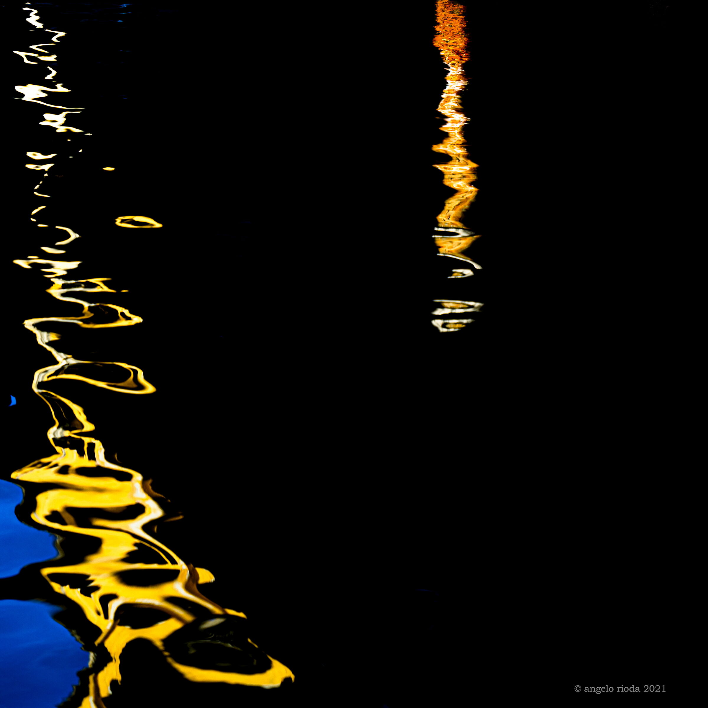 Scarabocchio a Venezia