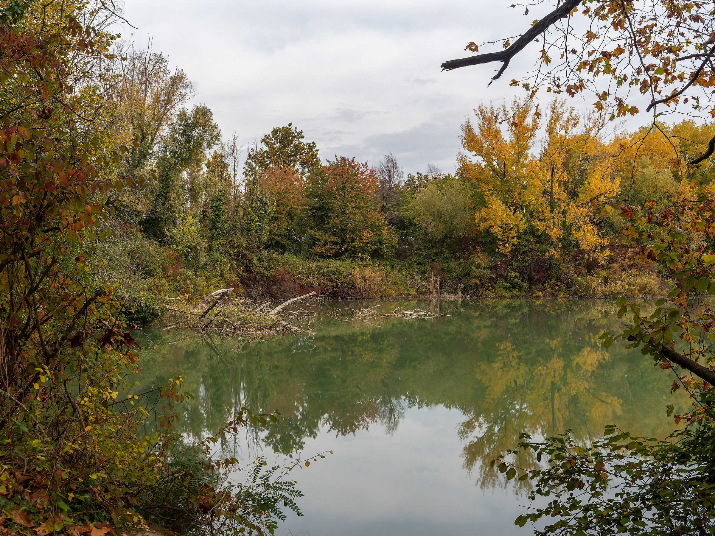 I colori dell'Autunno