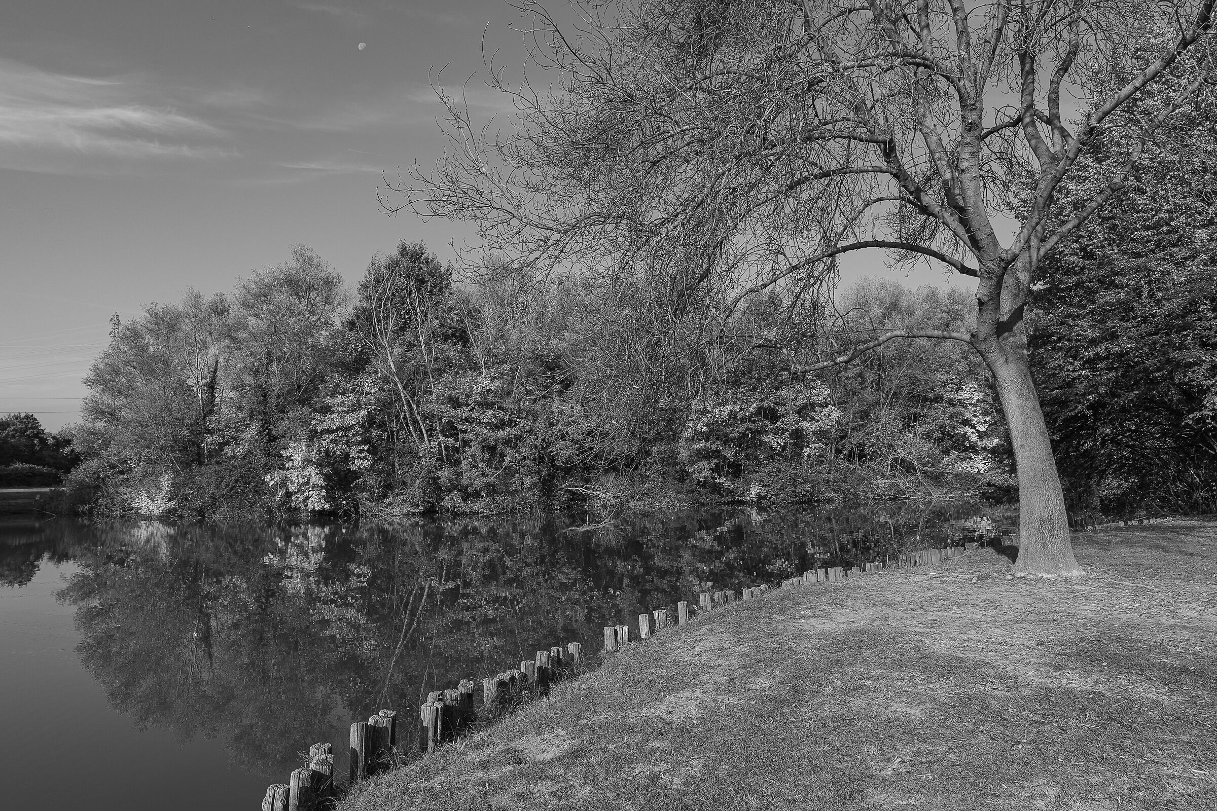 Contrasti di stagione