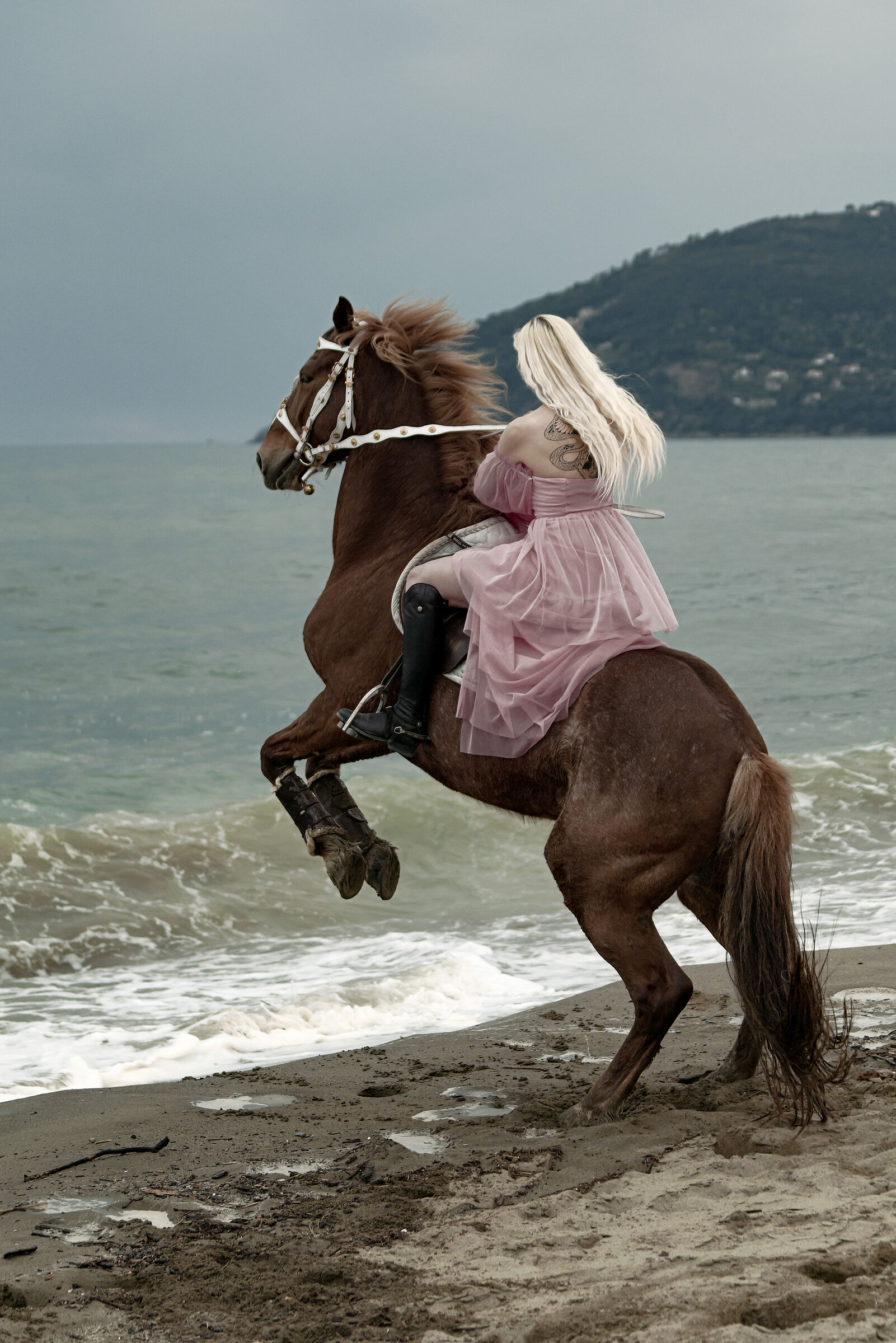 on the nose the Palmaria