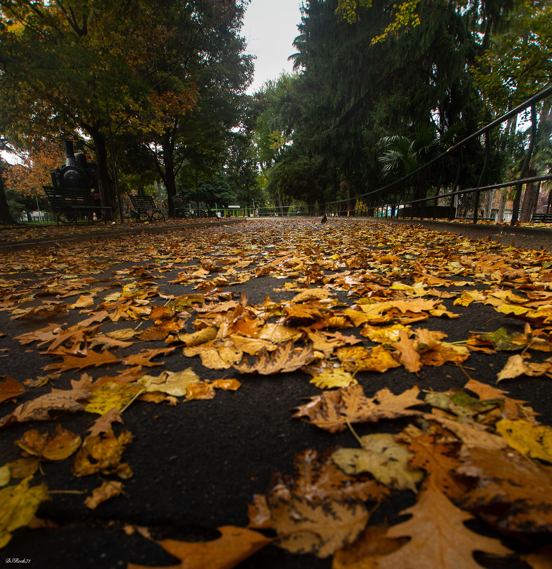 como - gardens on the lake