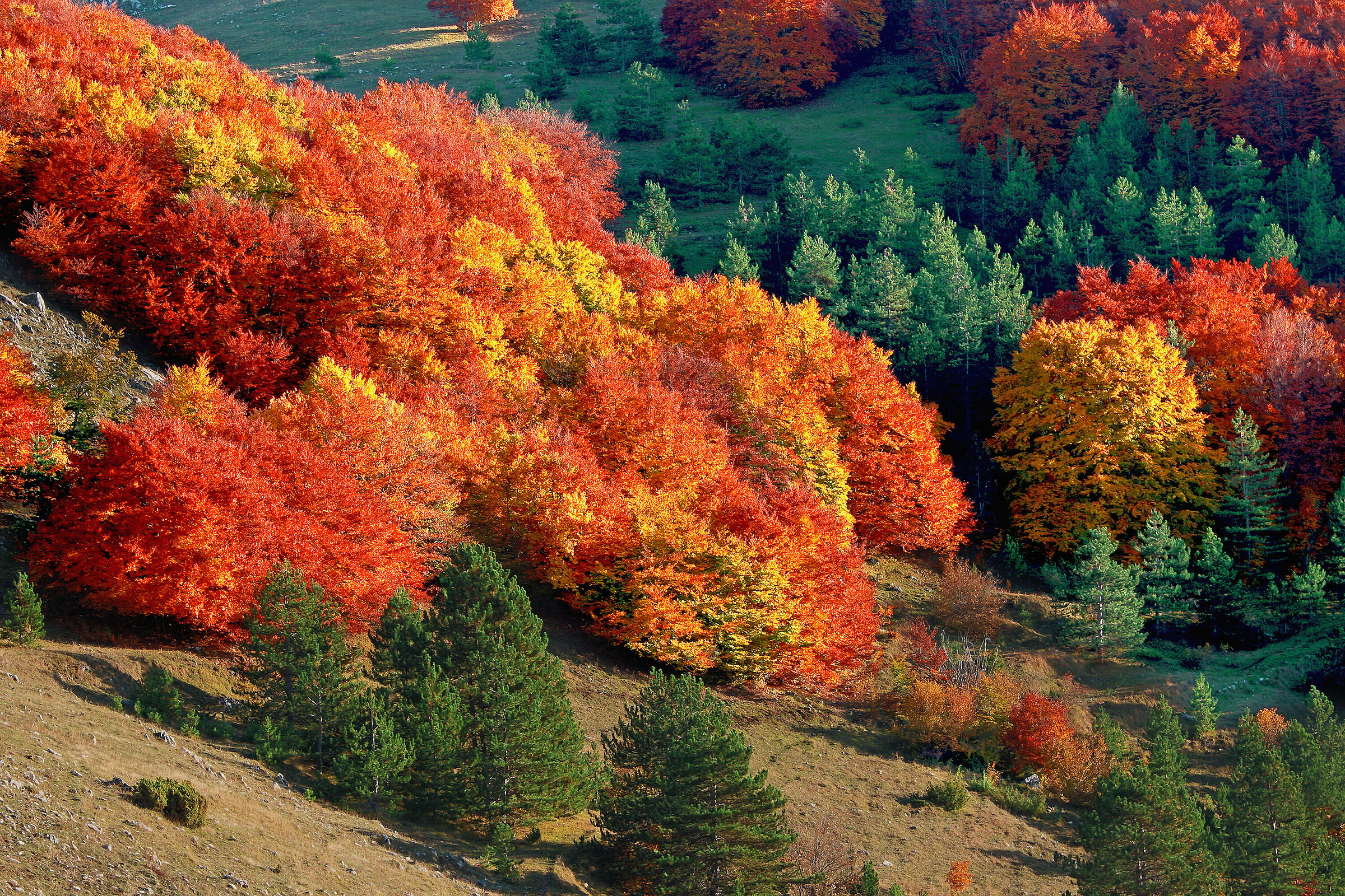 Autunno abruzzese 2