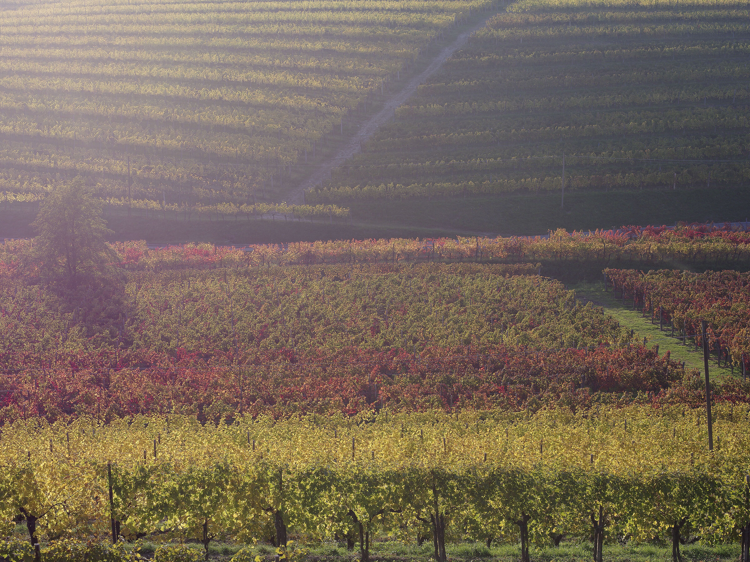 e gia' il solito autunno 3