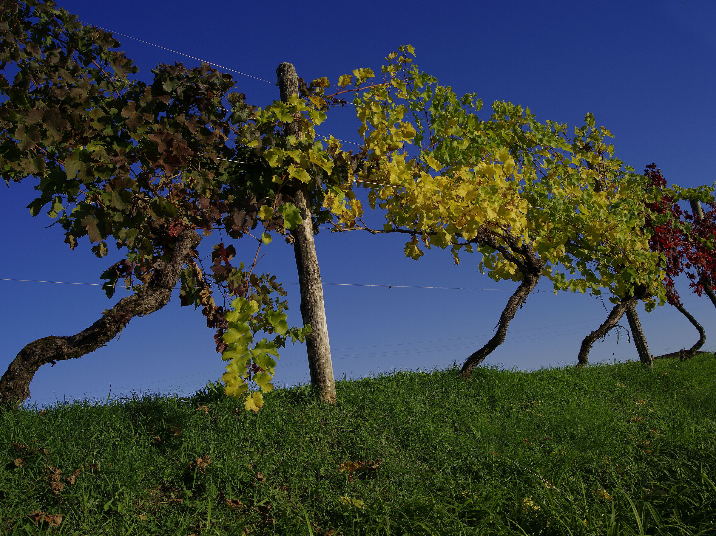 e gia' il solito autunno