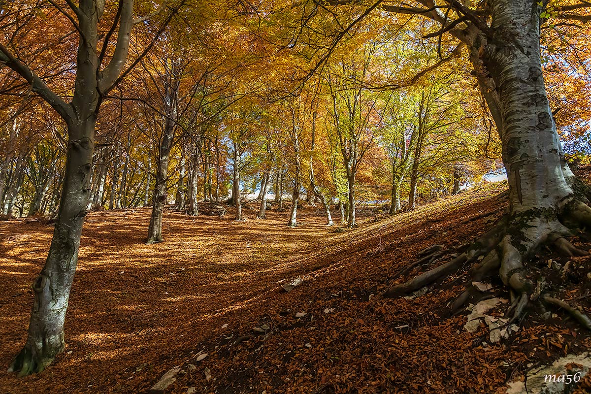 Novezzina - Monte Baldo