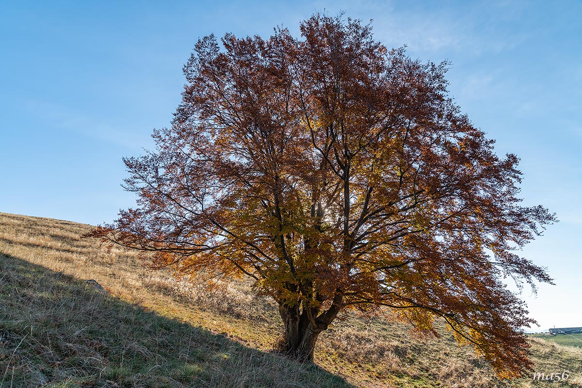 Novezzina - Monte Baldo