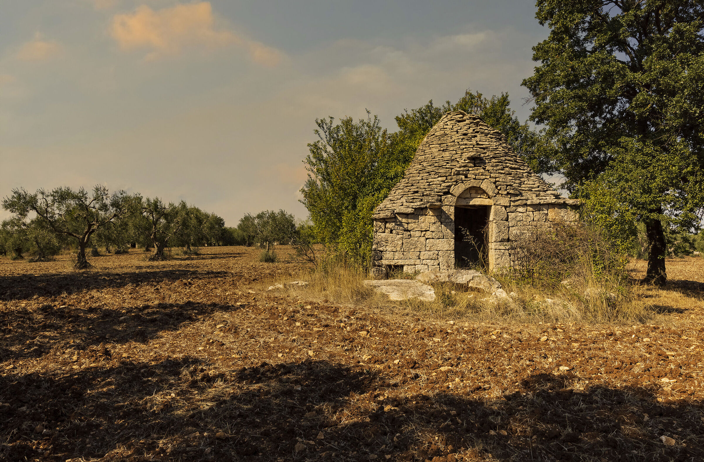 Trullo nelle campagne attorno ad Alberobello