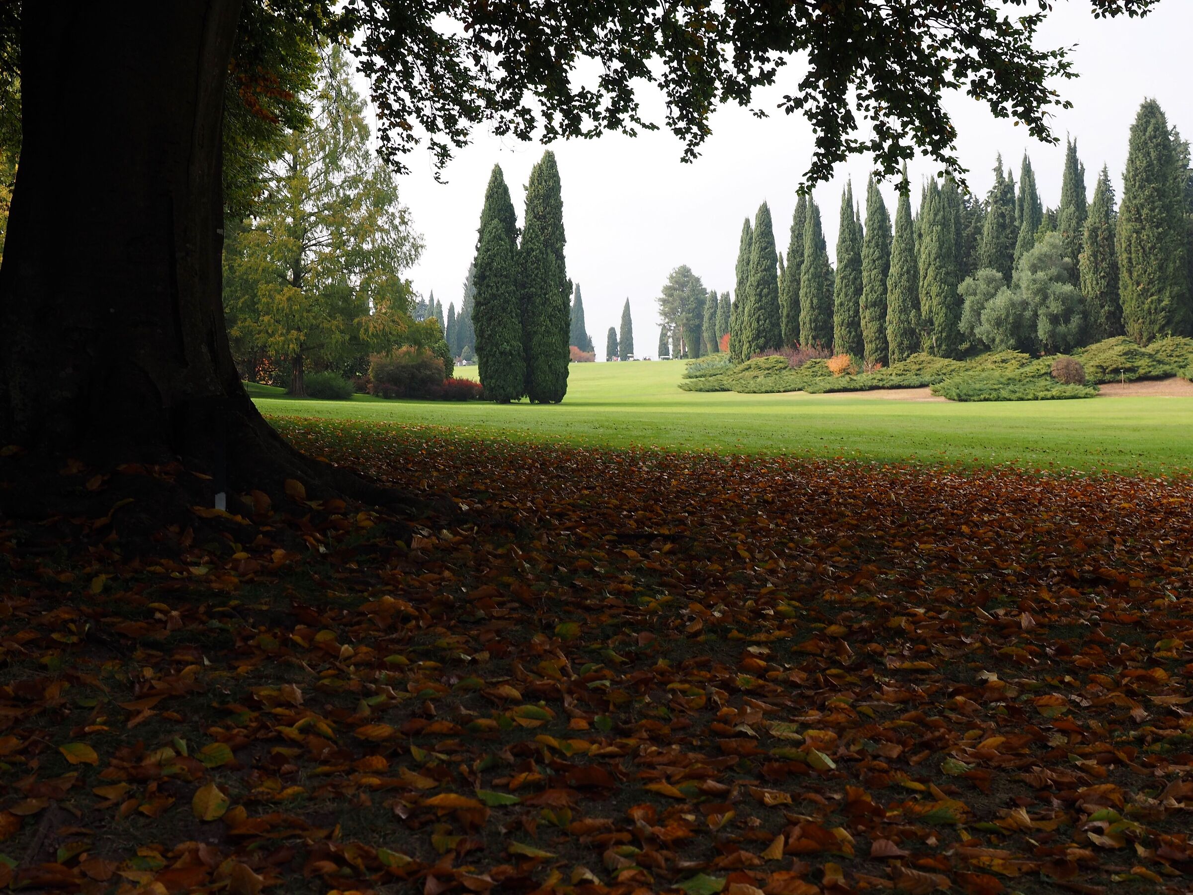 Parco Sigurtà in autunno