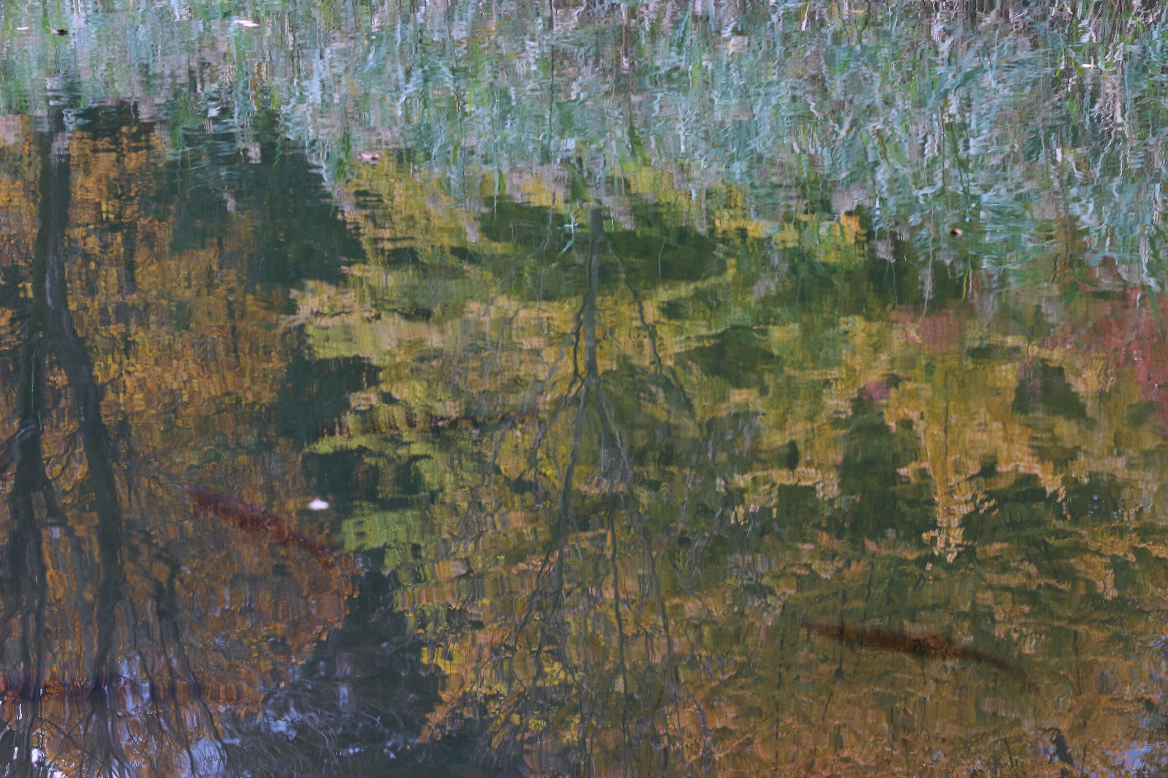 Untitled Photo