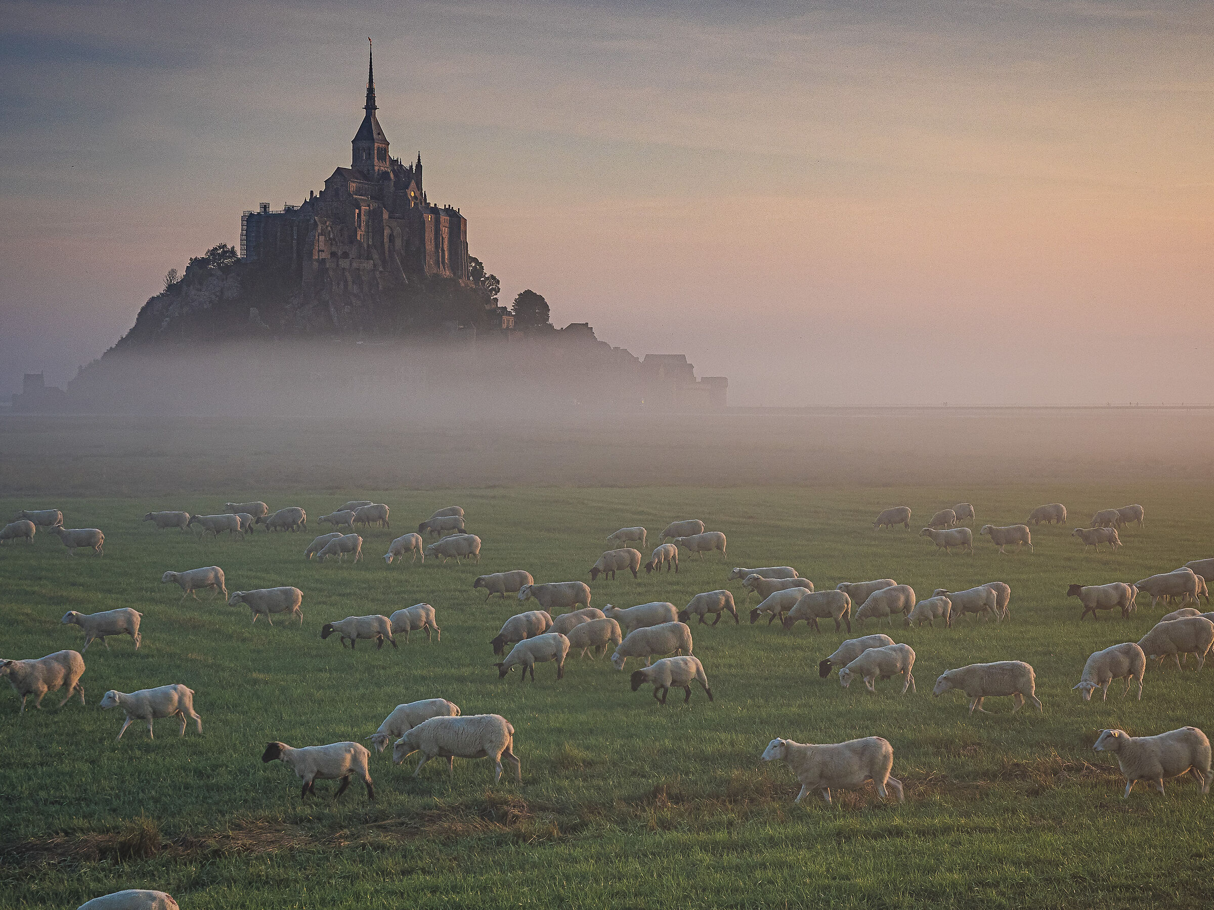 petit dejeuner salé