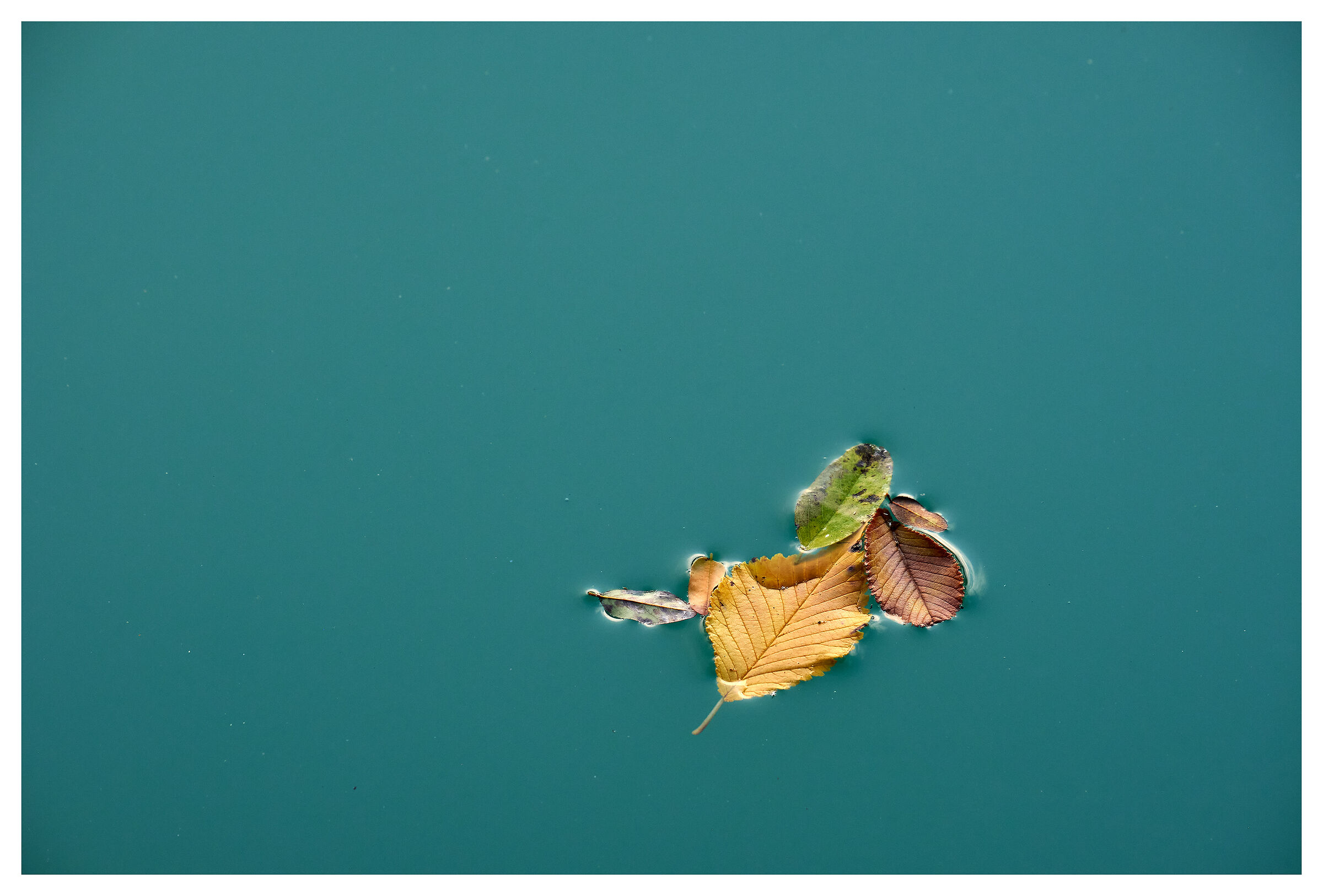 Floating compositions 8