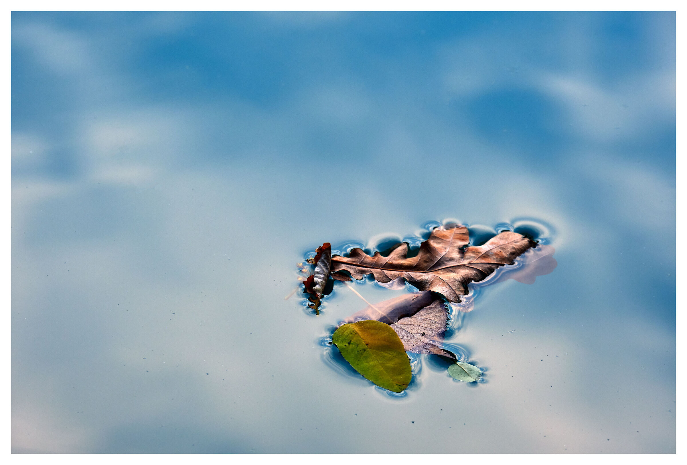 Floating compositions 12