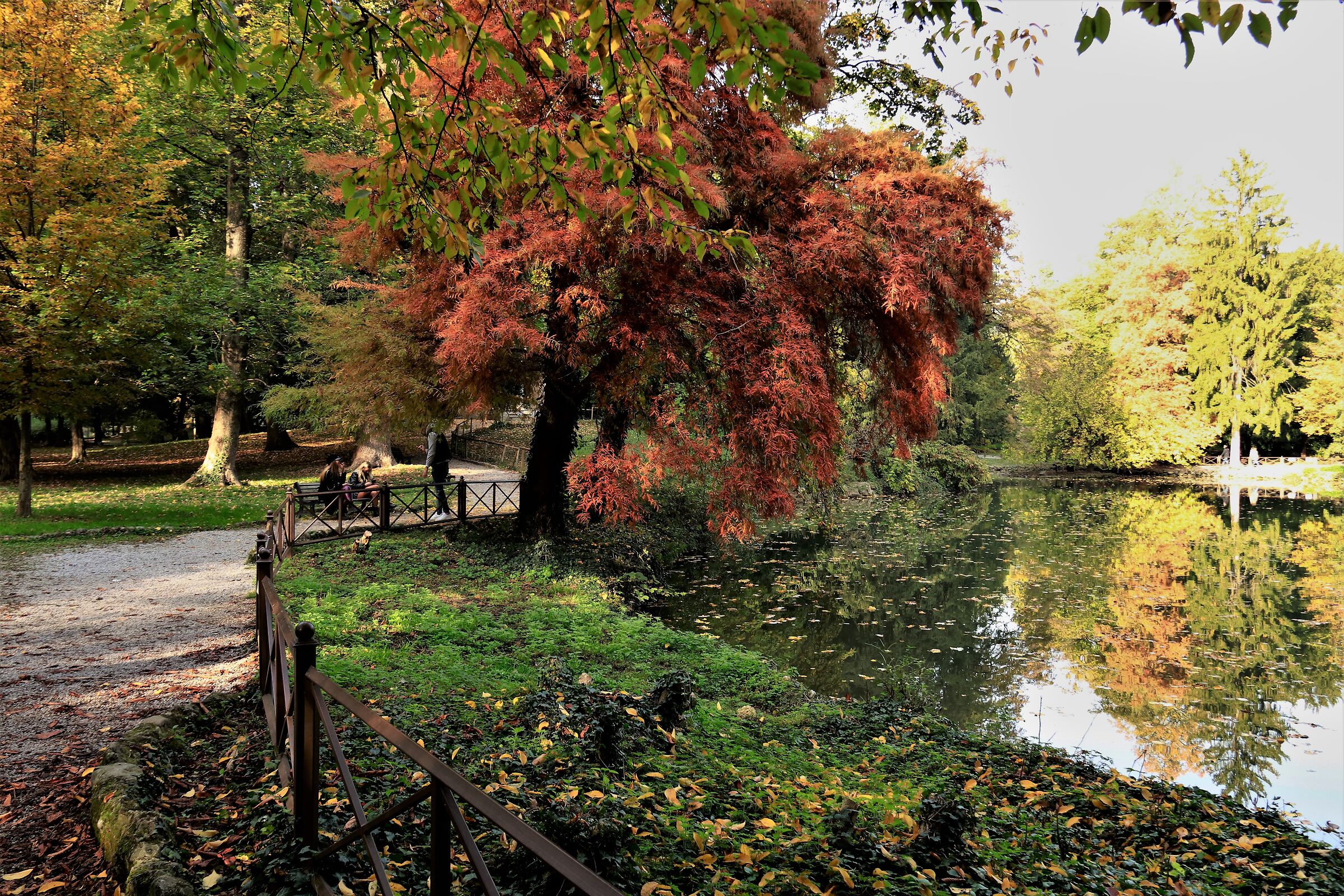 " Laghetto dei Giardini Reali "