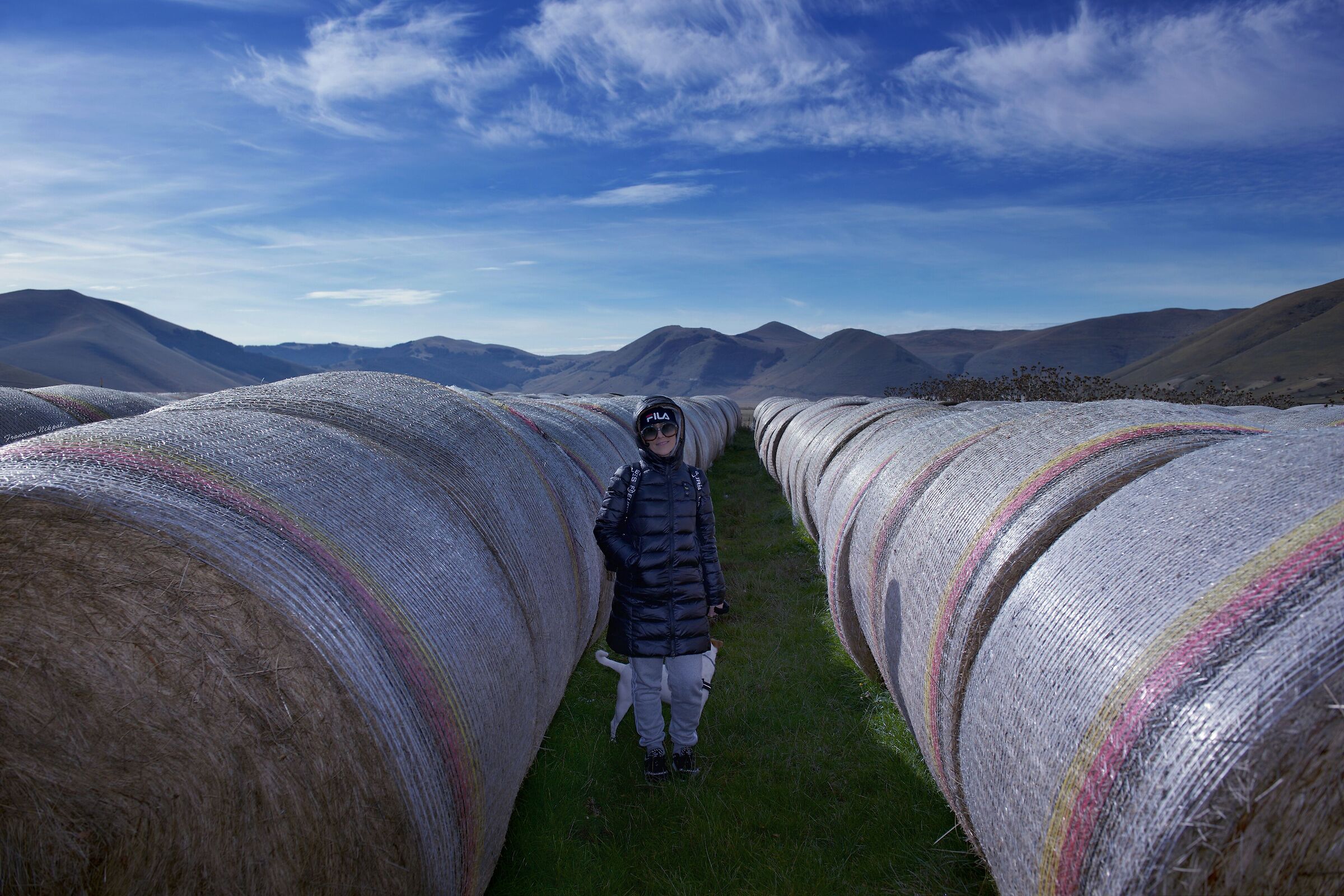 Among the bales ....