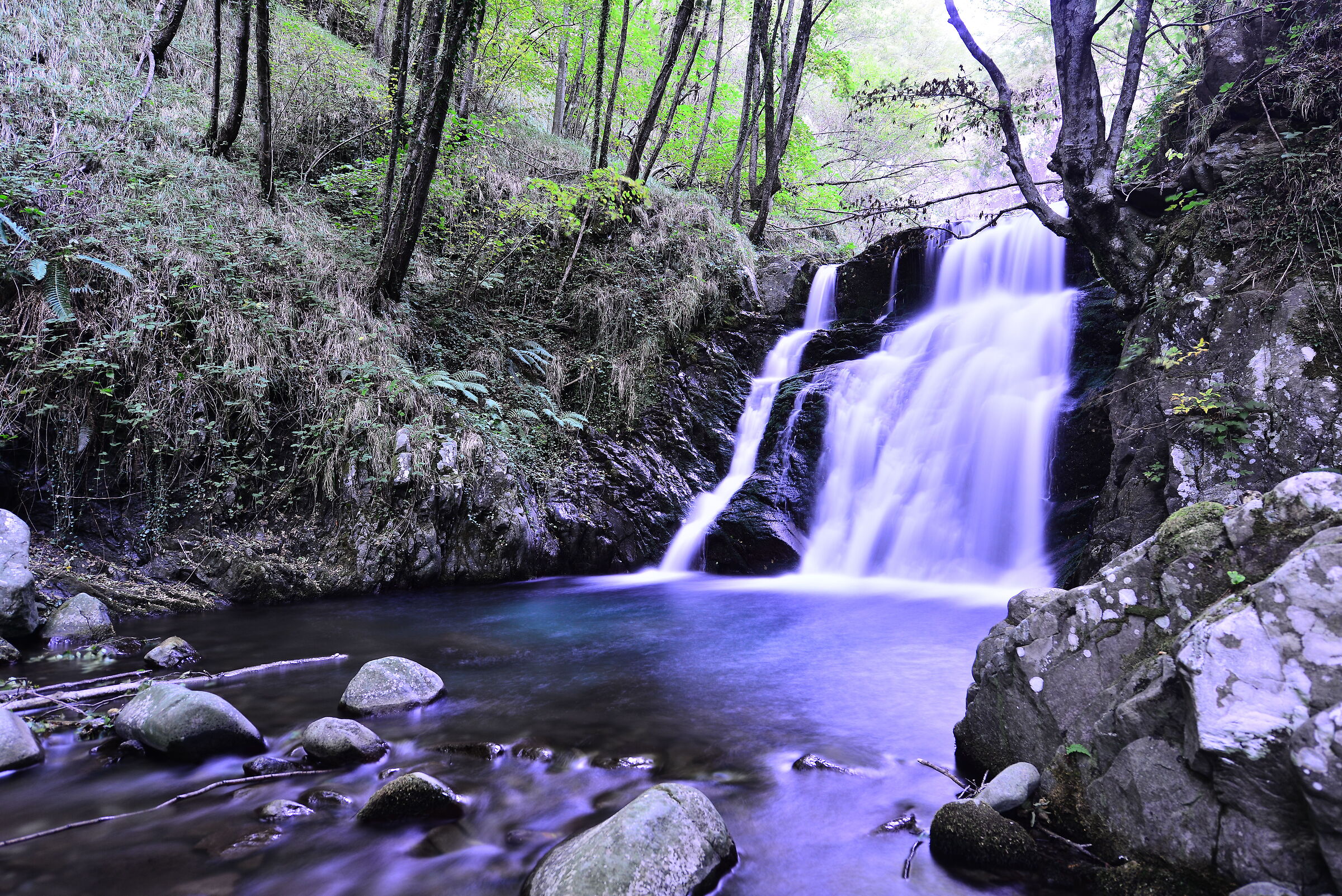 Torrent Acquetta