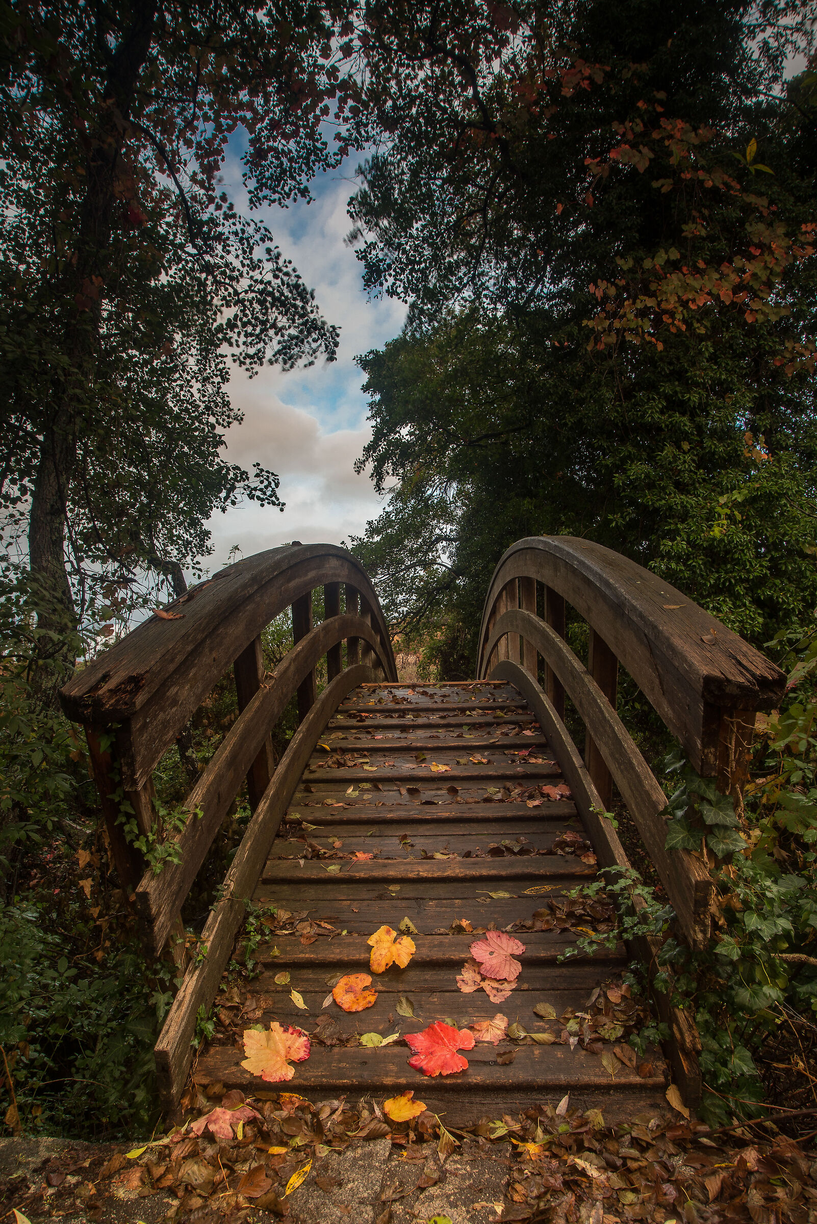 Pascaredda, il sentiero per la tomba dei giganti