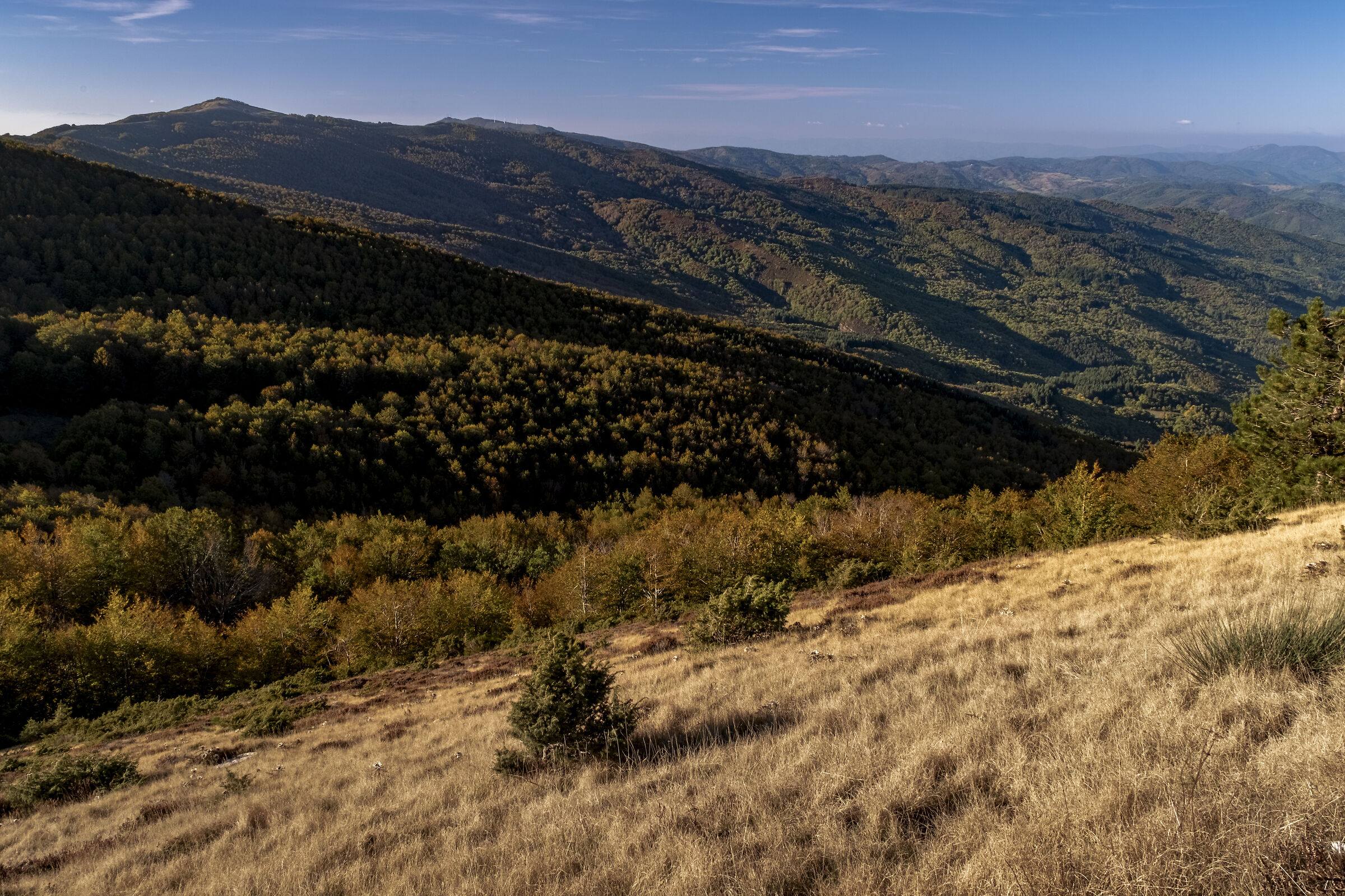 Autunno in Pratomagno