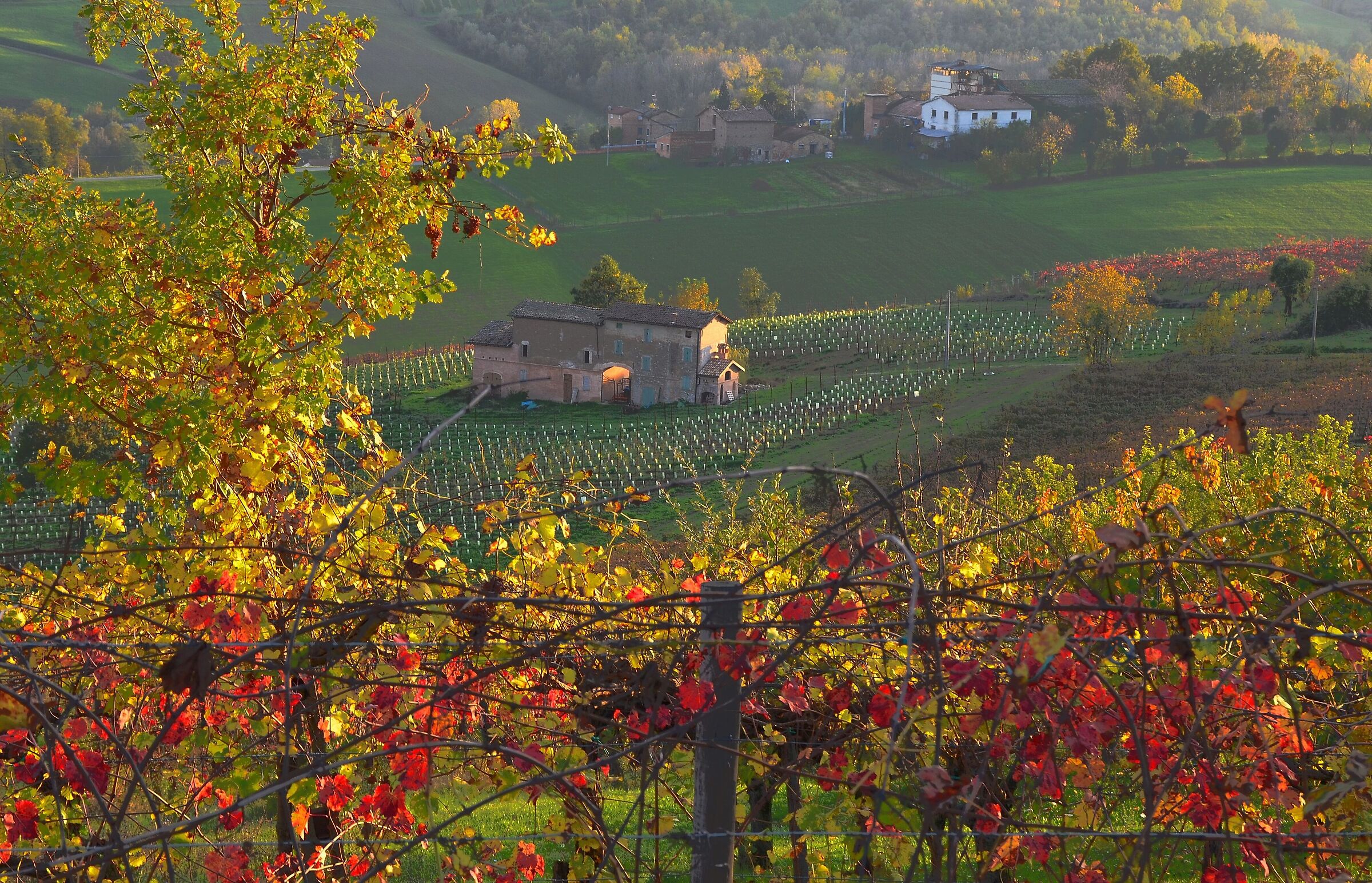 Levizzano (Mo) - Italy