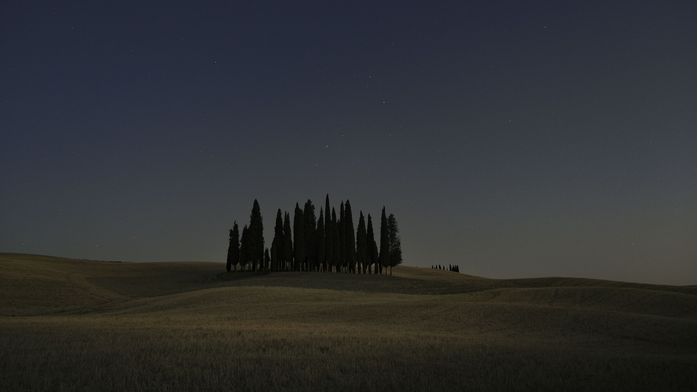 The cypresses of the Val d'Orcia