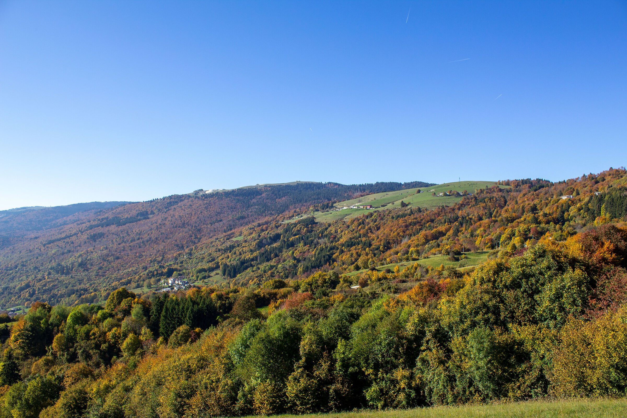 Autumn colors