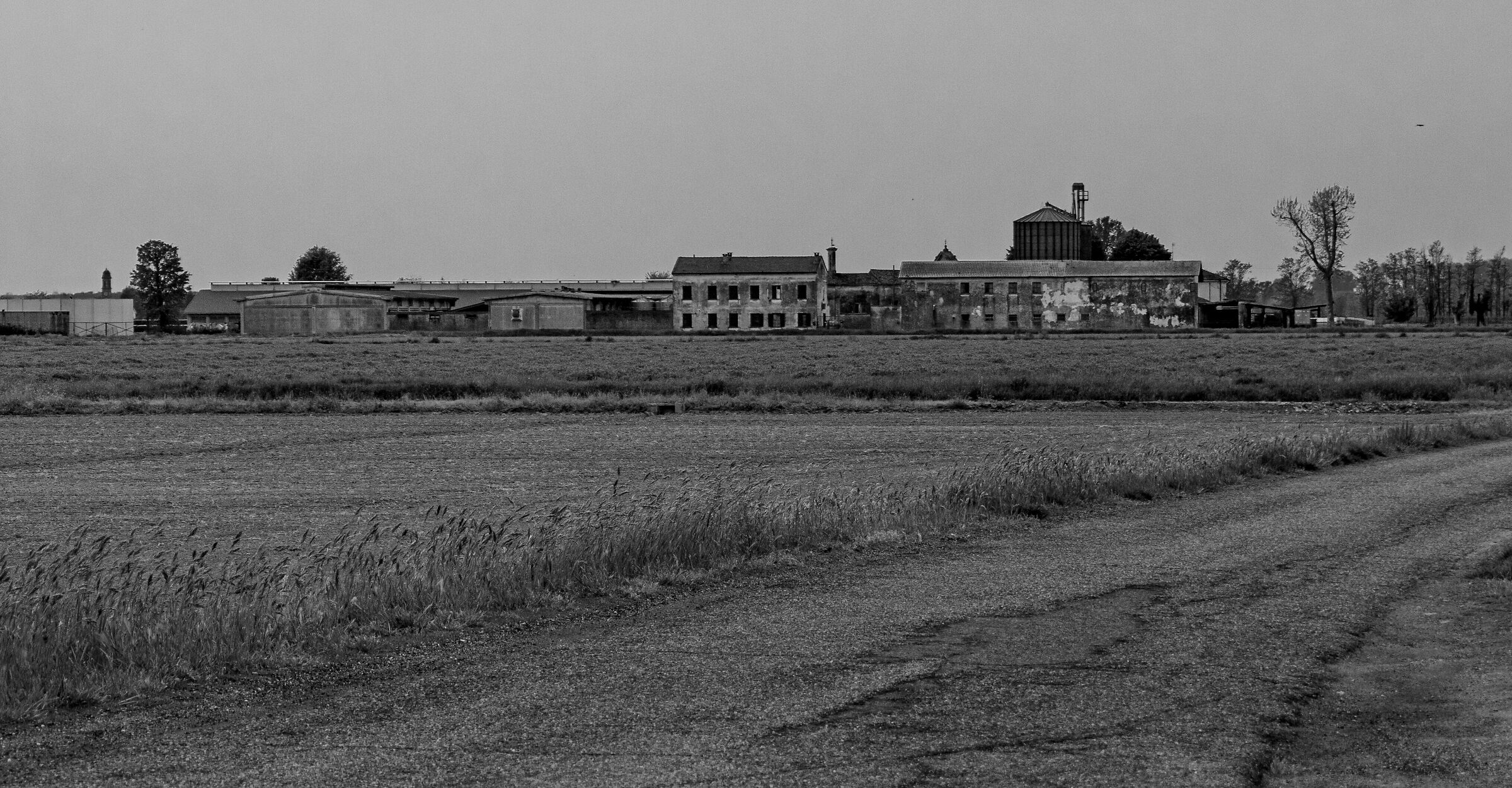 Breguardo (Breguardo)