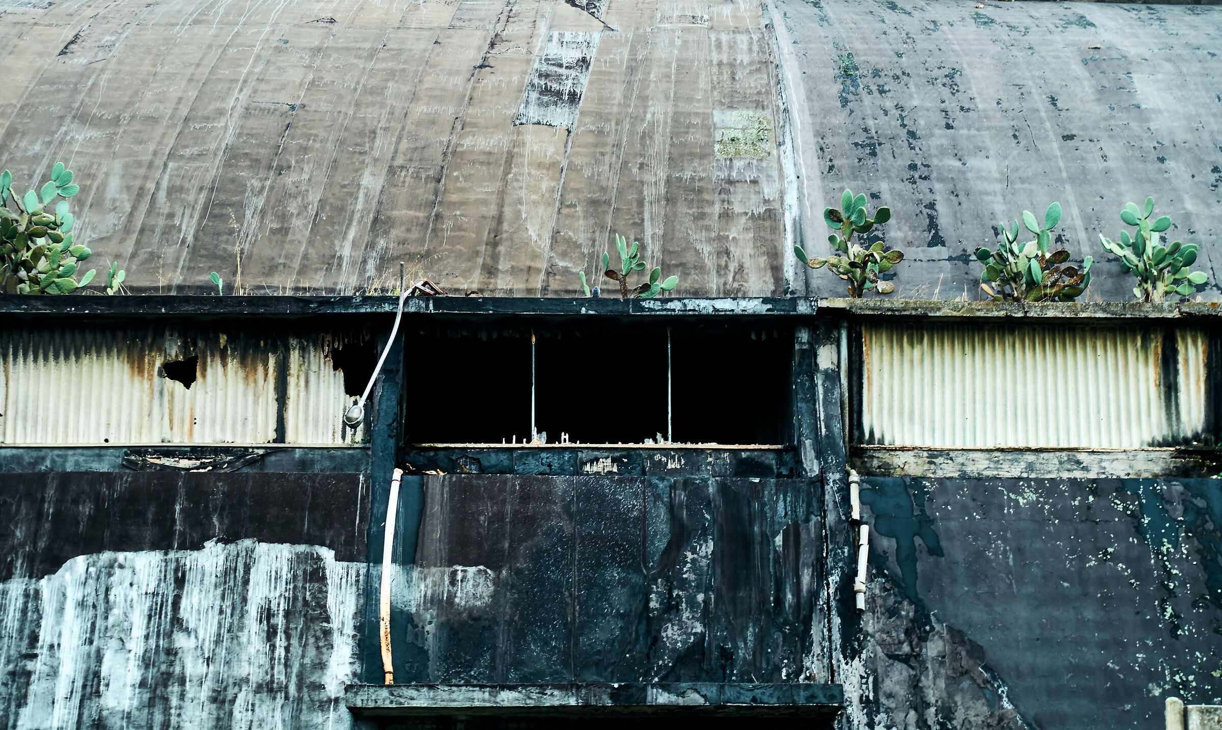 Cozzo Disi: Vestigia di un industria mai nata