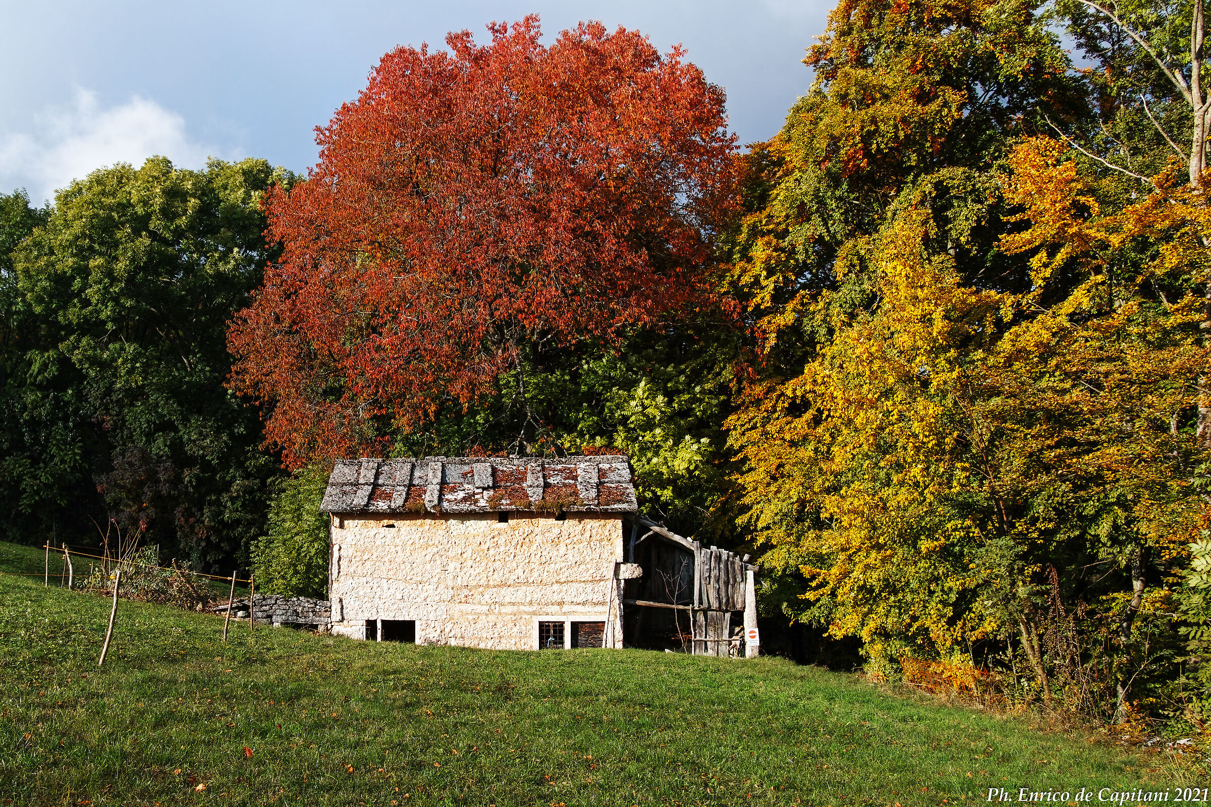 La stalla del Modesto in livrea autunnale