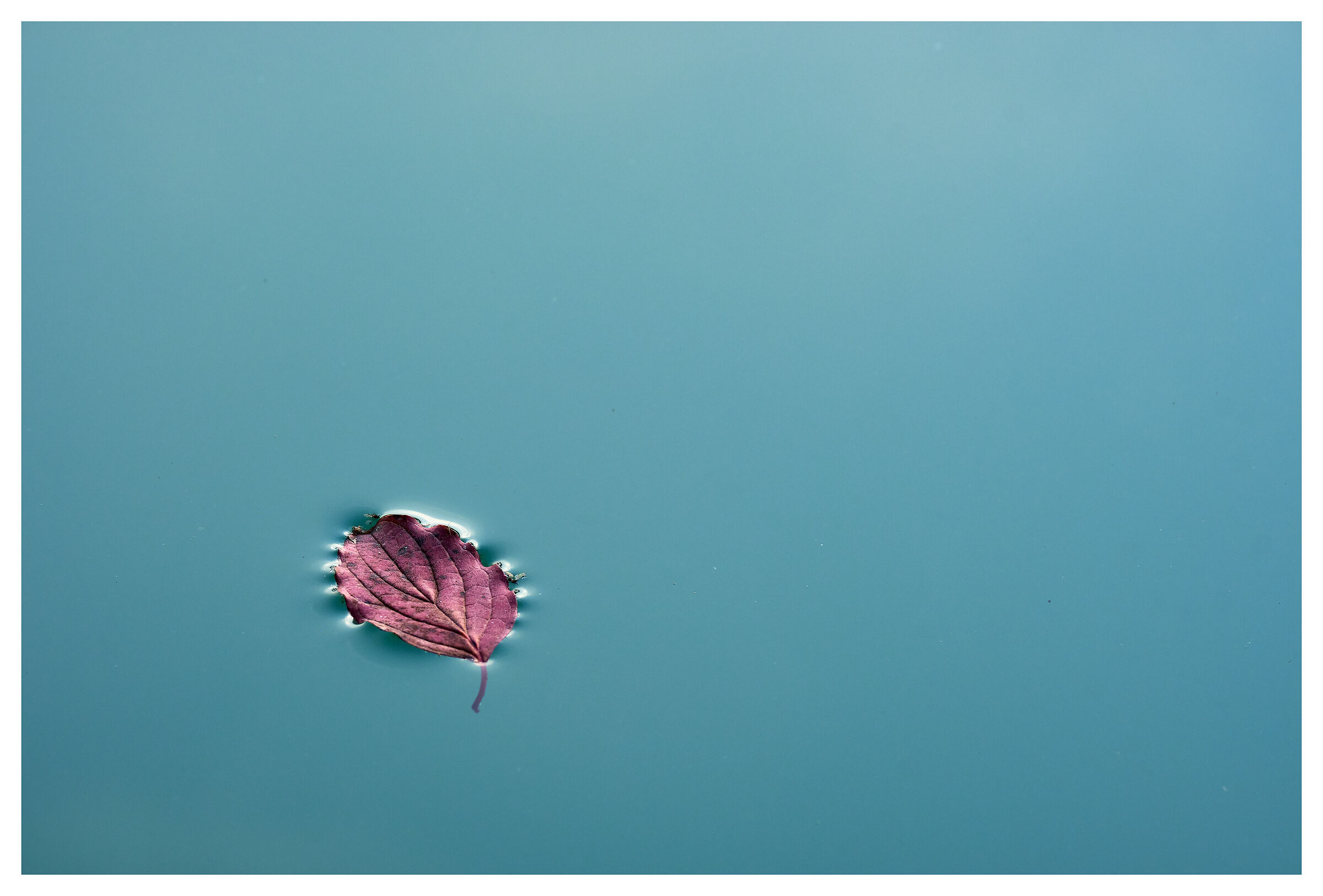 Floating compositions 10