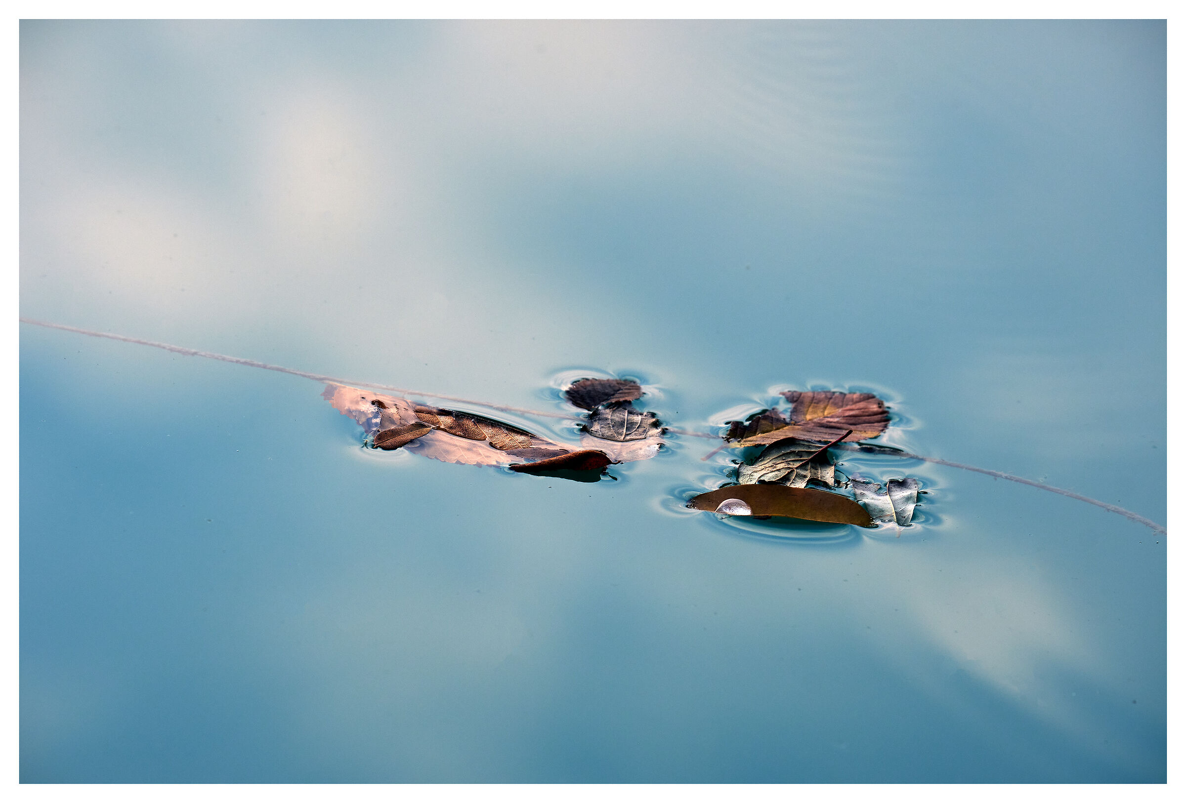 Floating compositions 11