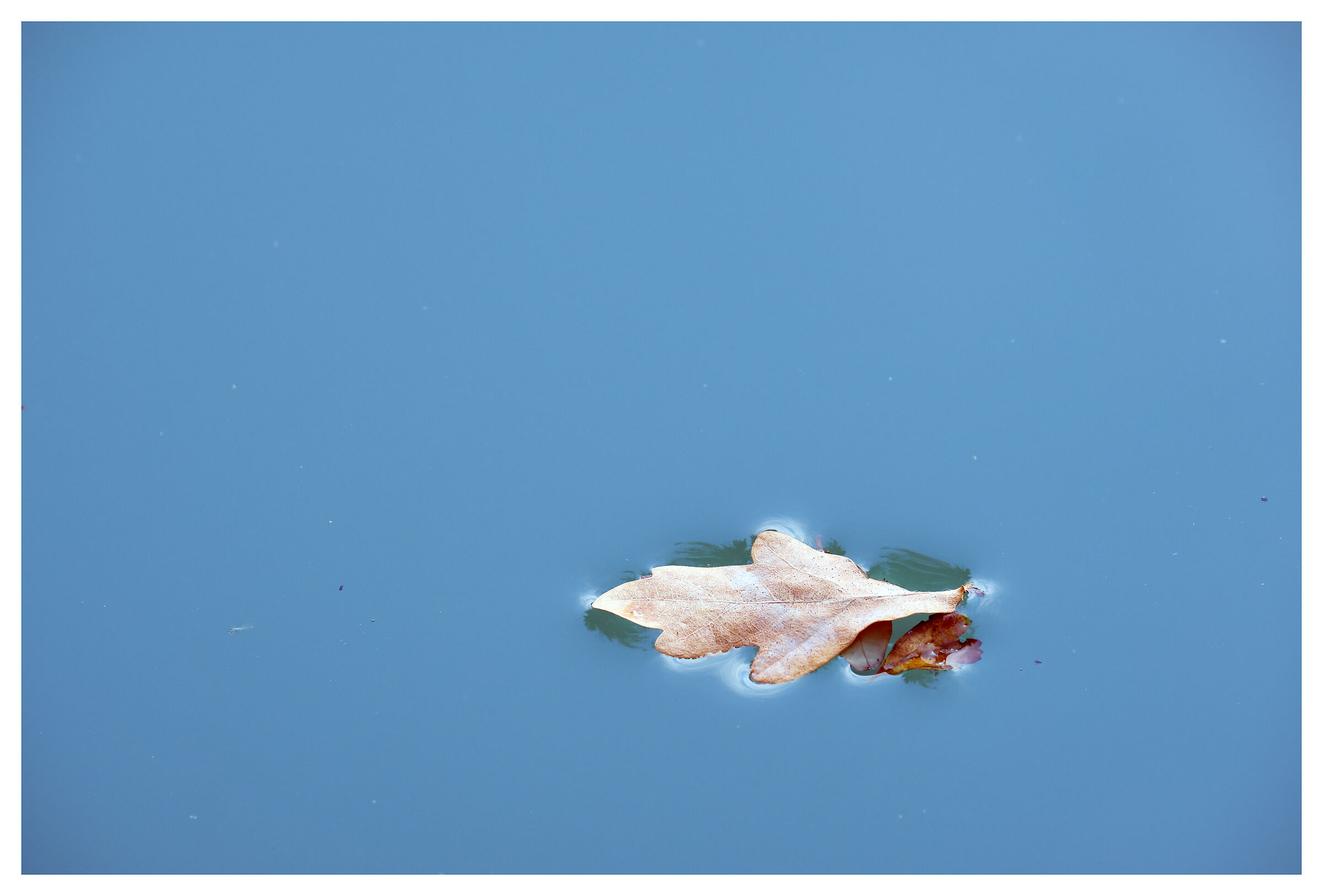 Floating compositions 3