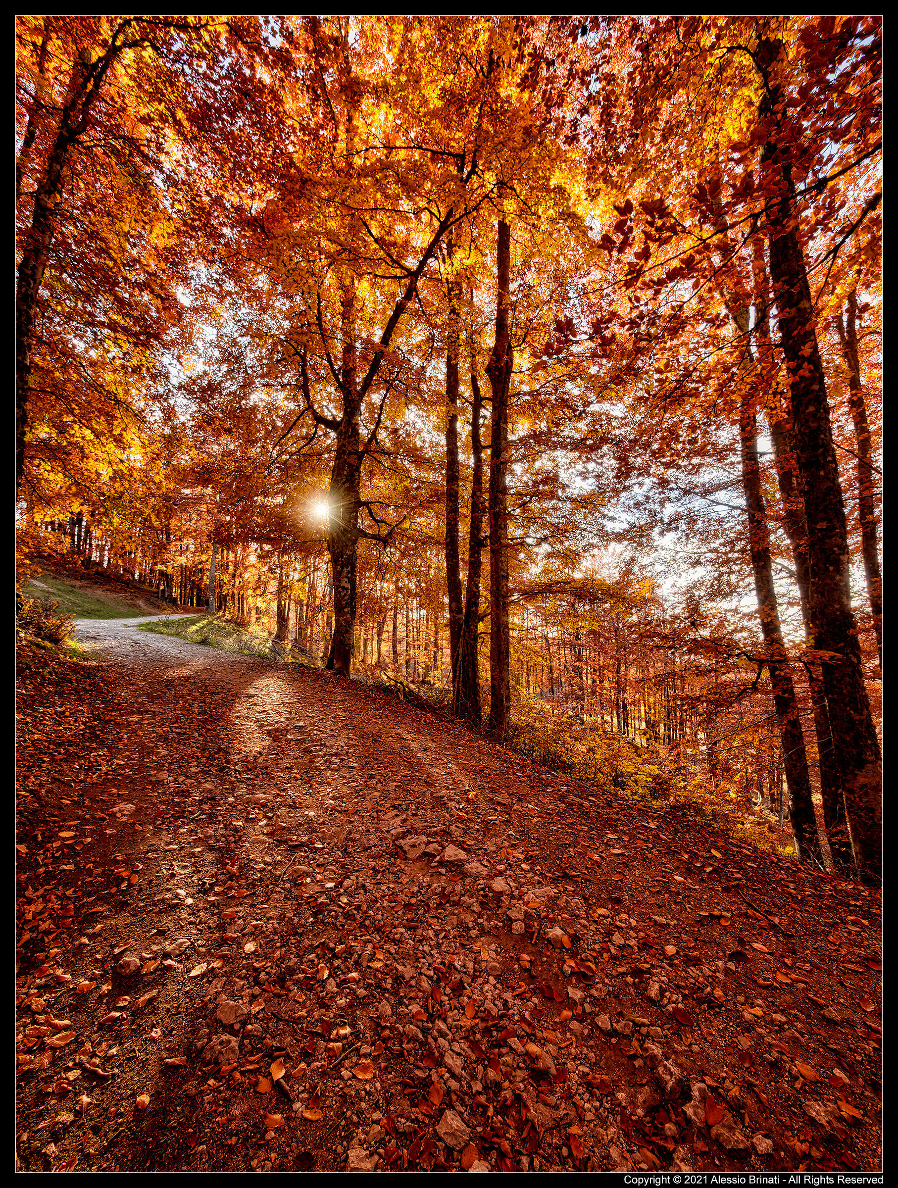 I Colori dell'autunno