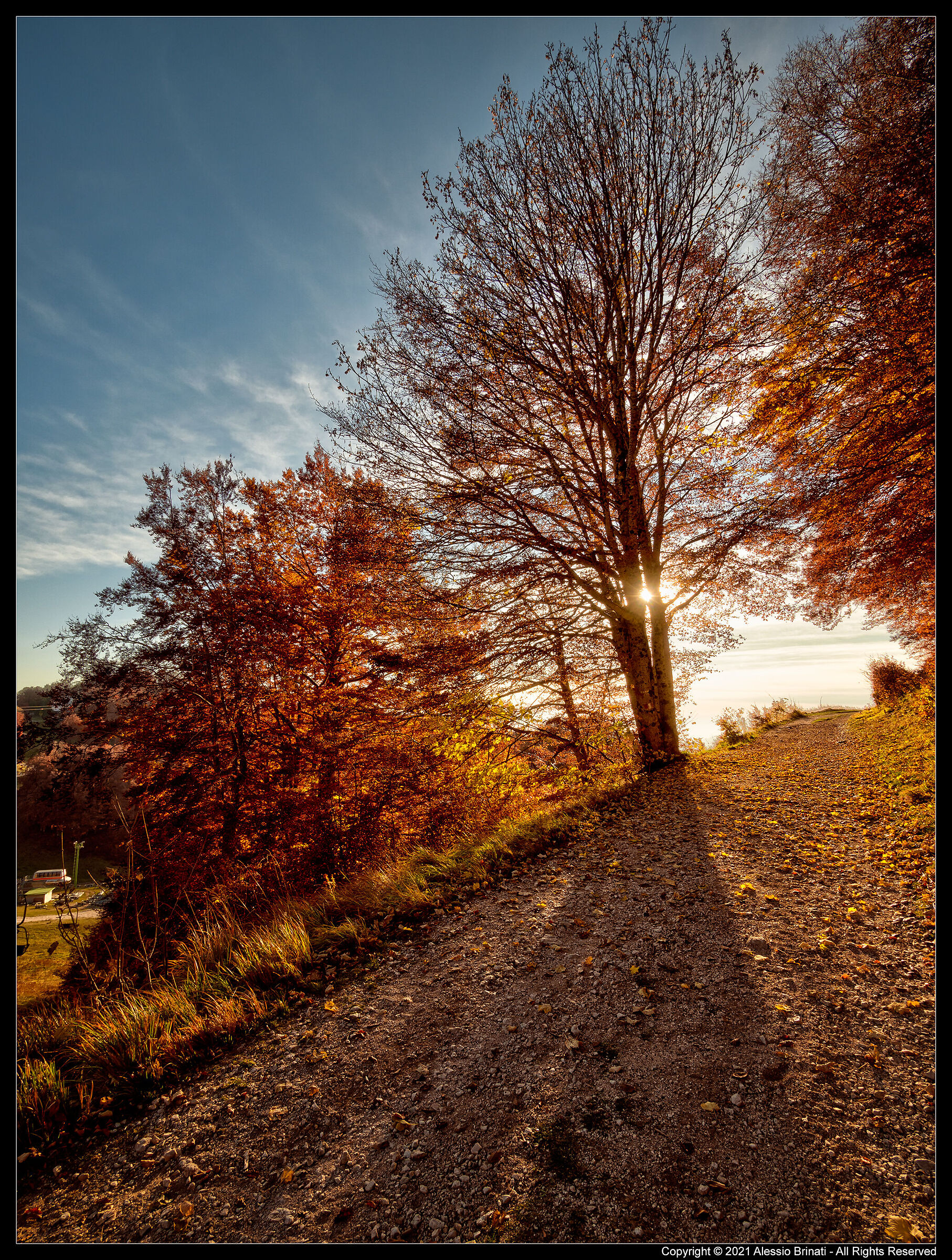 I Colori dell'autunno