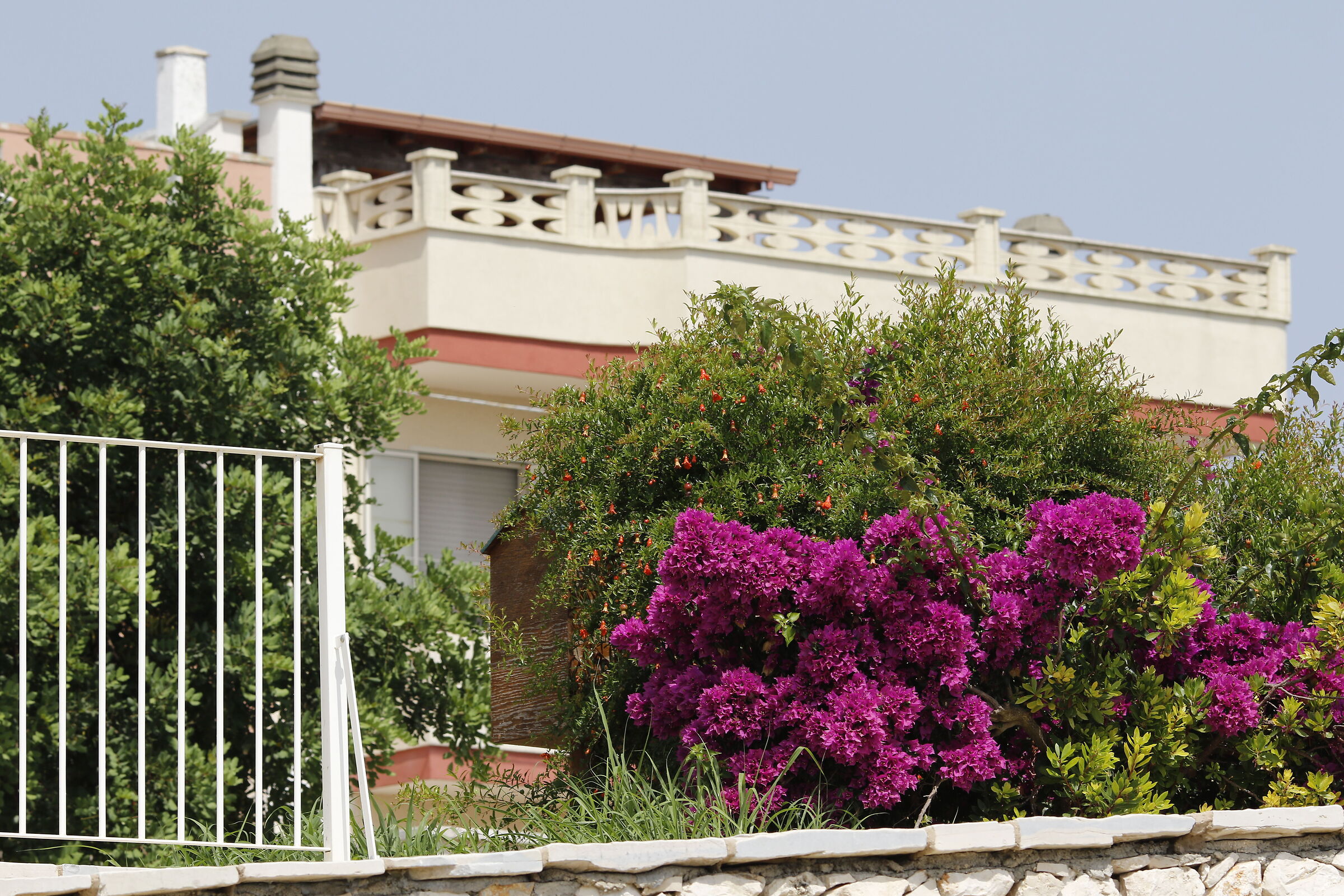 Canon 7d ìì - 135, F.2 L