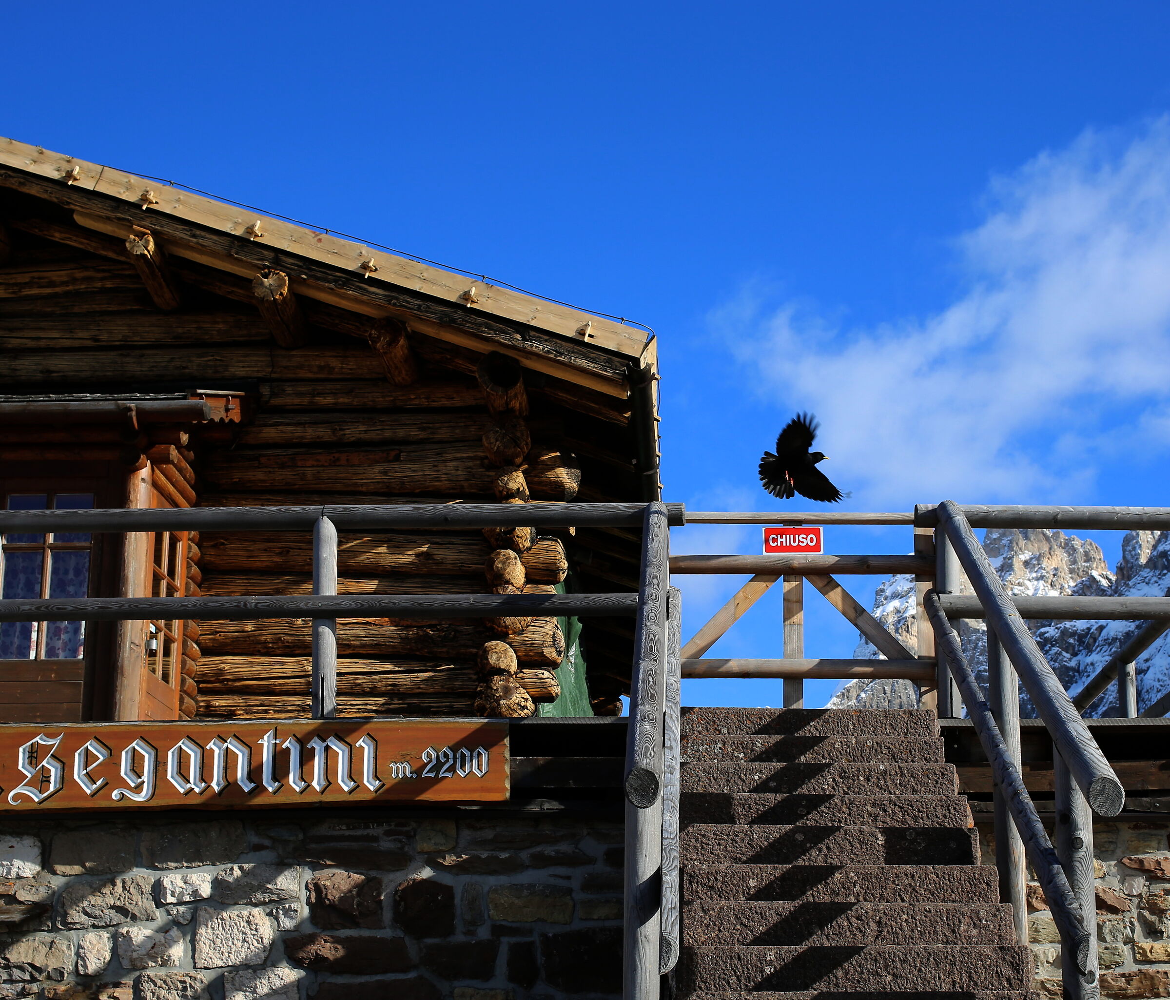 Via! Via! è chiuso!