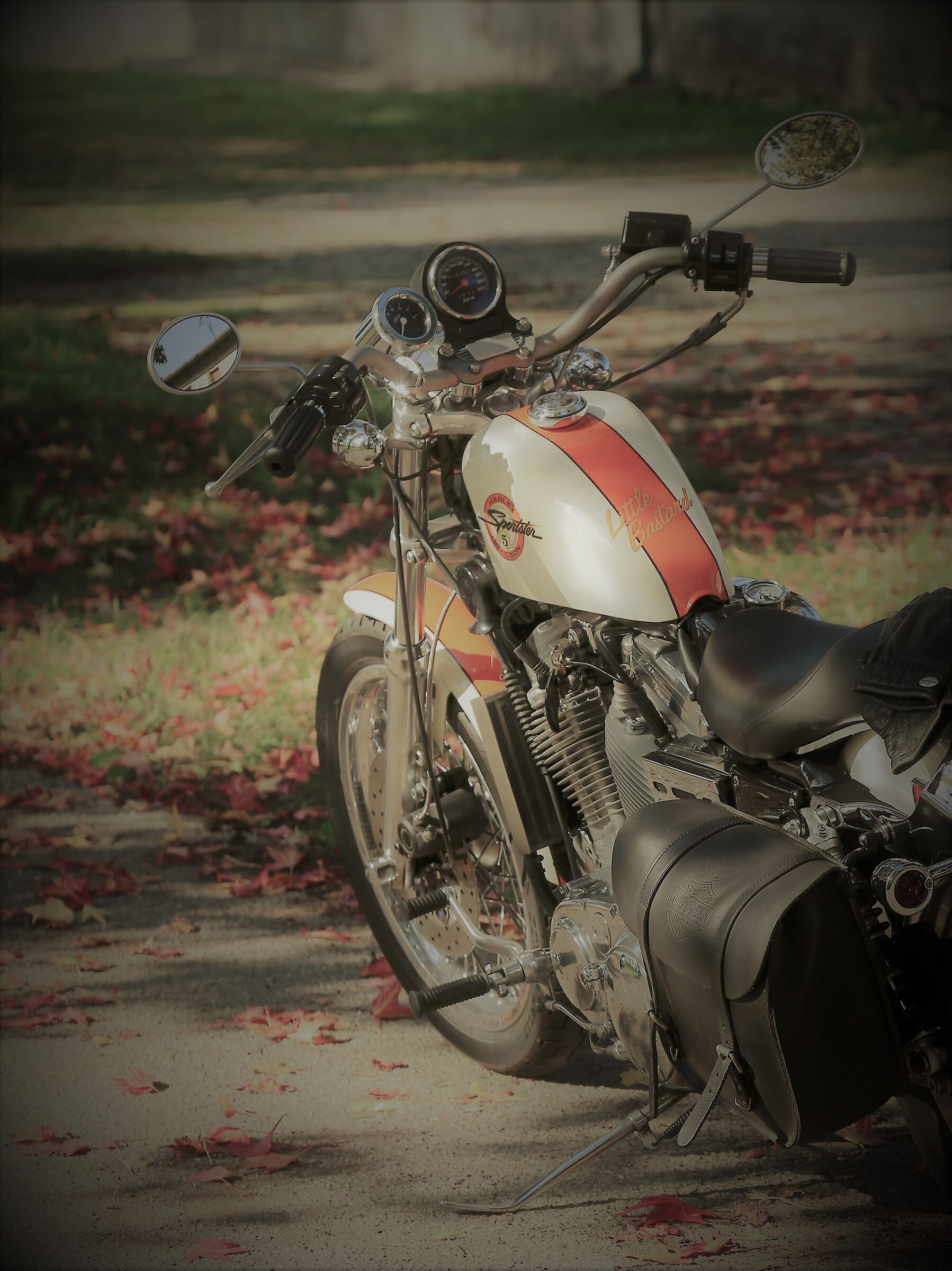 Old Sportster