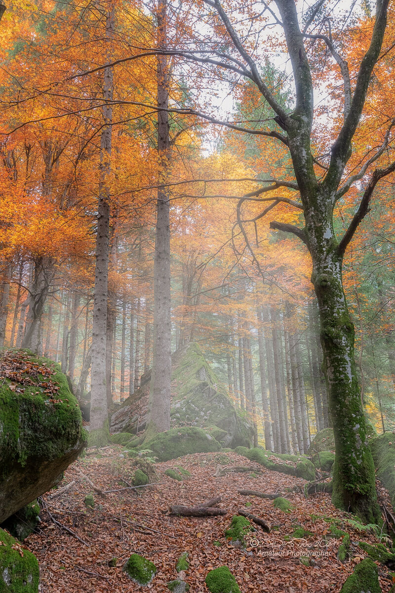 Autunno in Val Masino