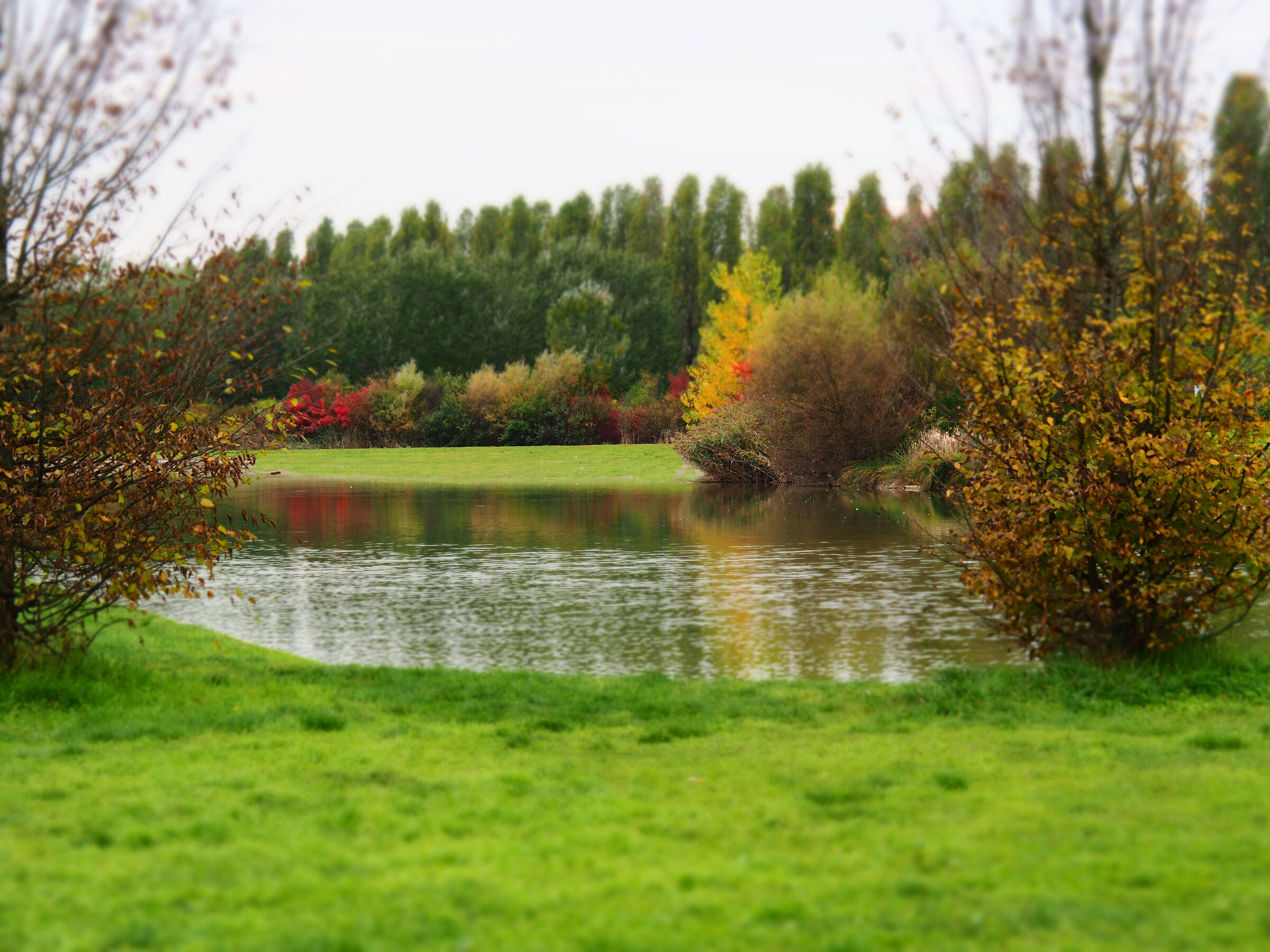 Autunno al Parco Nord