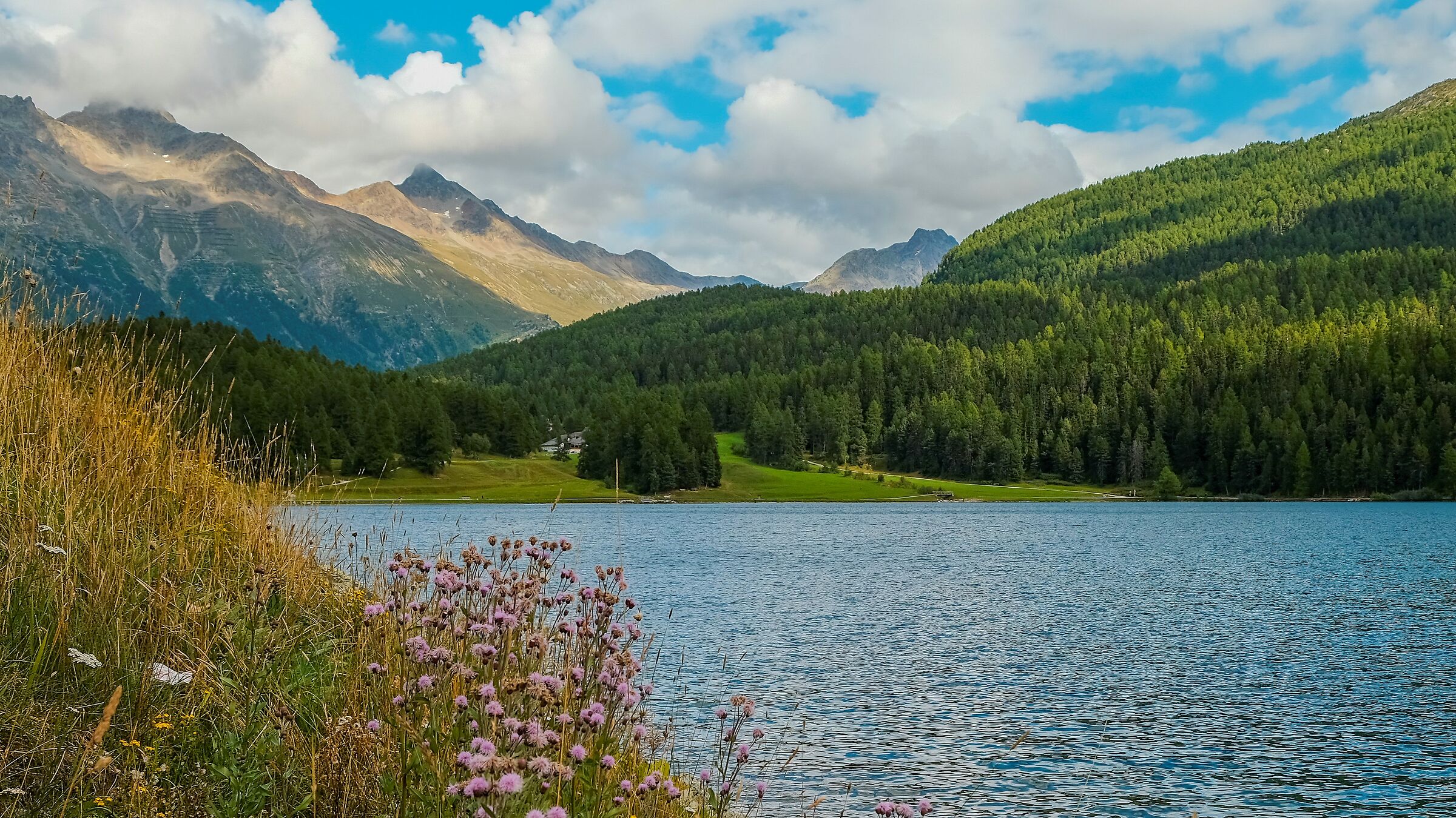 Lago di St. Moritz