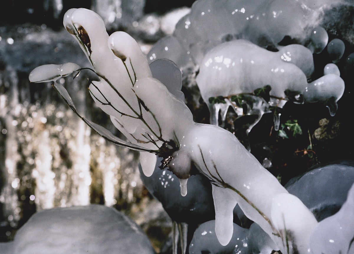 Wrapped in ice (Inverno1991)