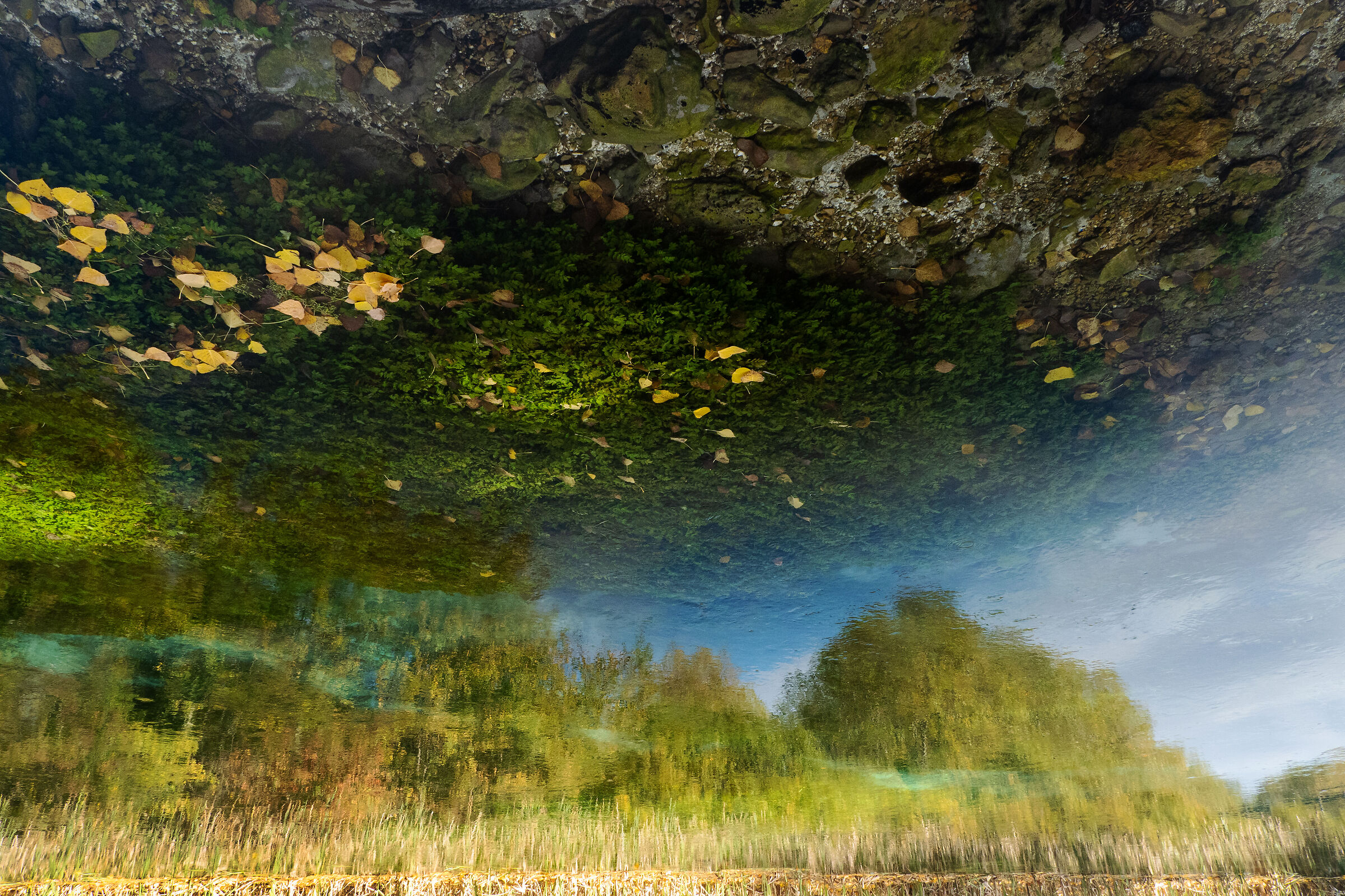 Riflessi nell'acqua