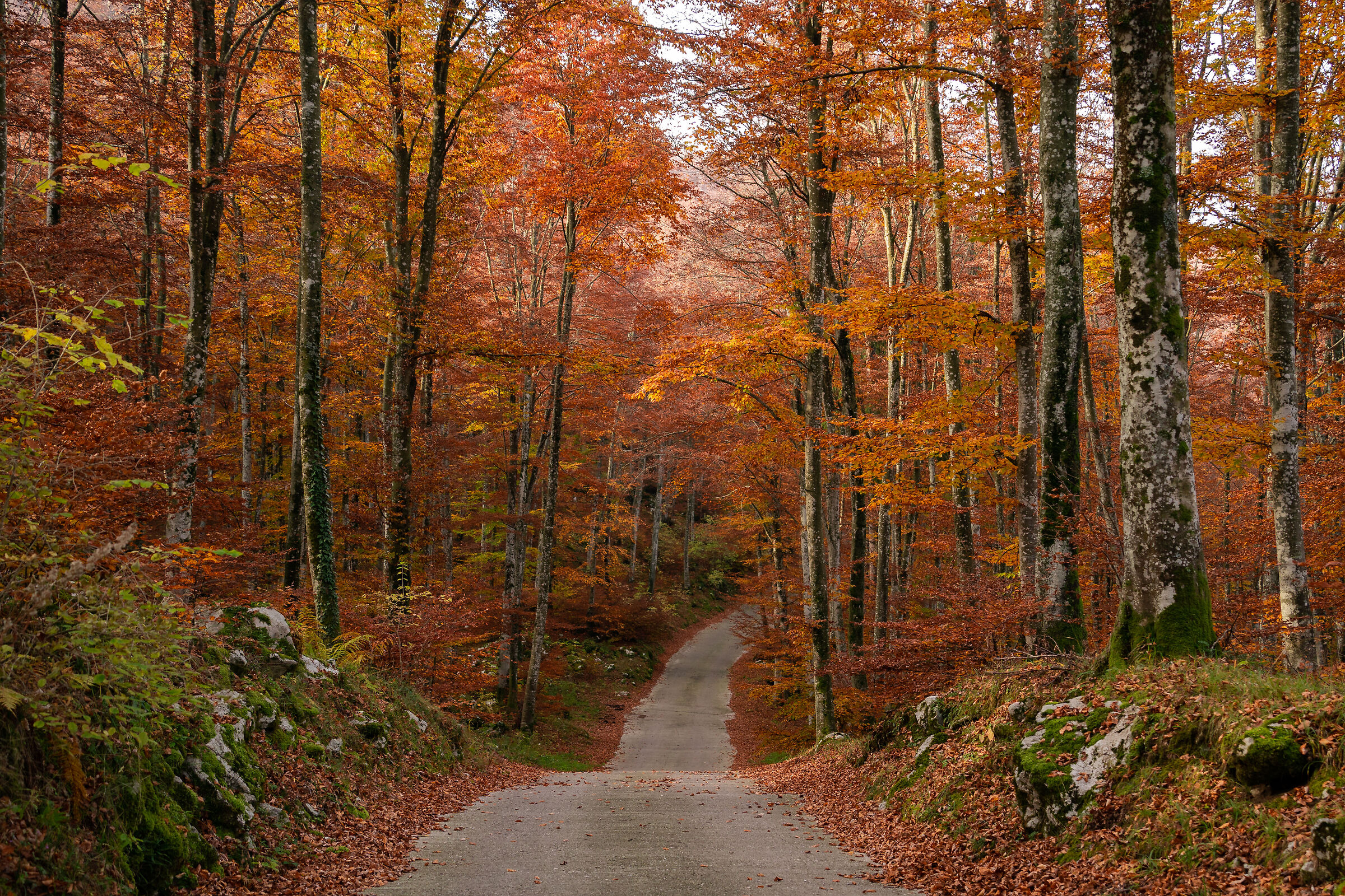 simple autumn routes