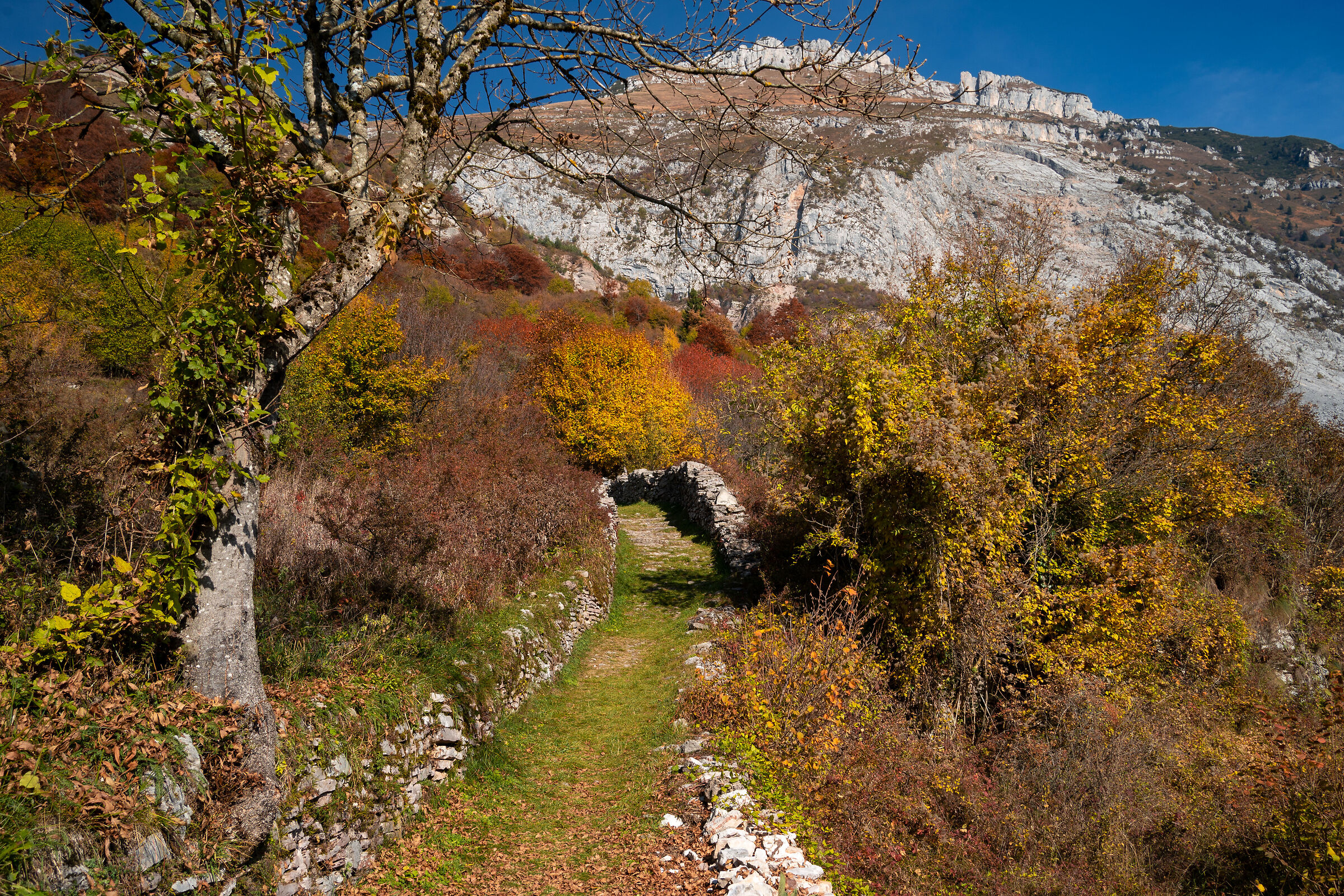 semplici percorsi autunnali